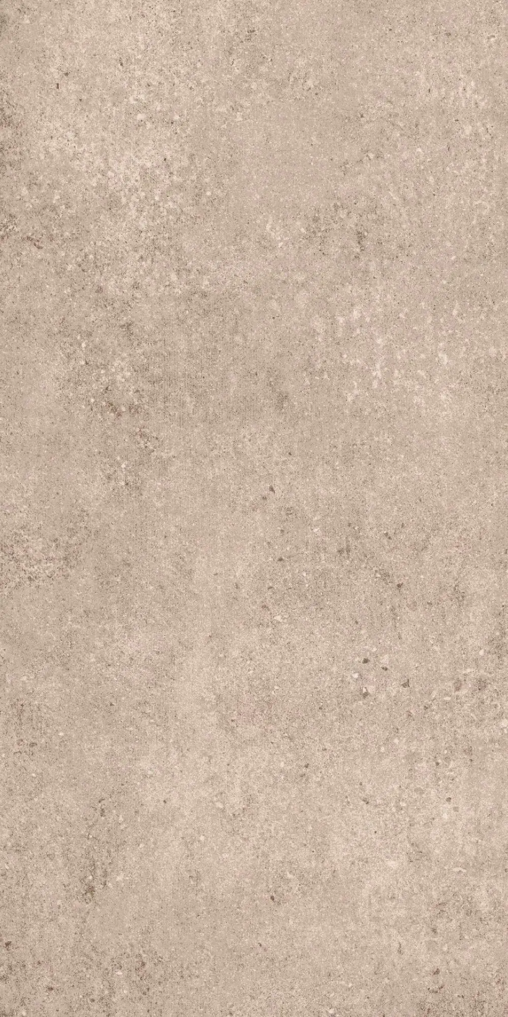 Bodenfliese Feinsteinzeug Atlas 30 x 60 cm grau Bodenfliese Feinsteinzeug Atlas 30 x 60 cm grau