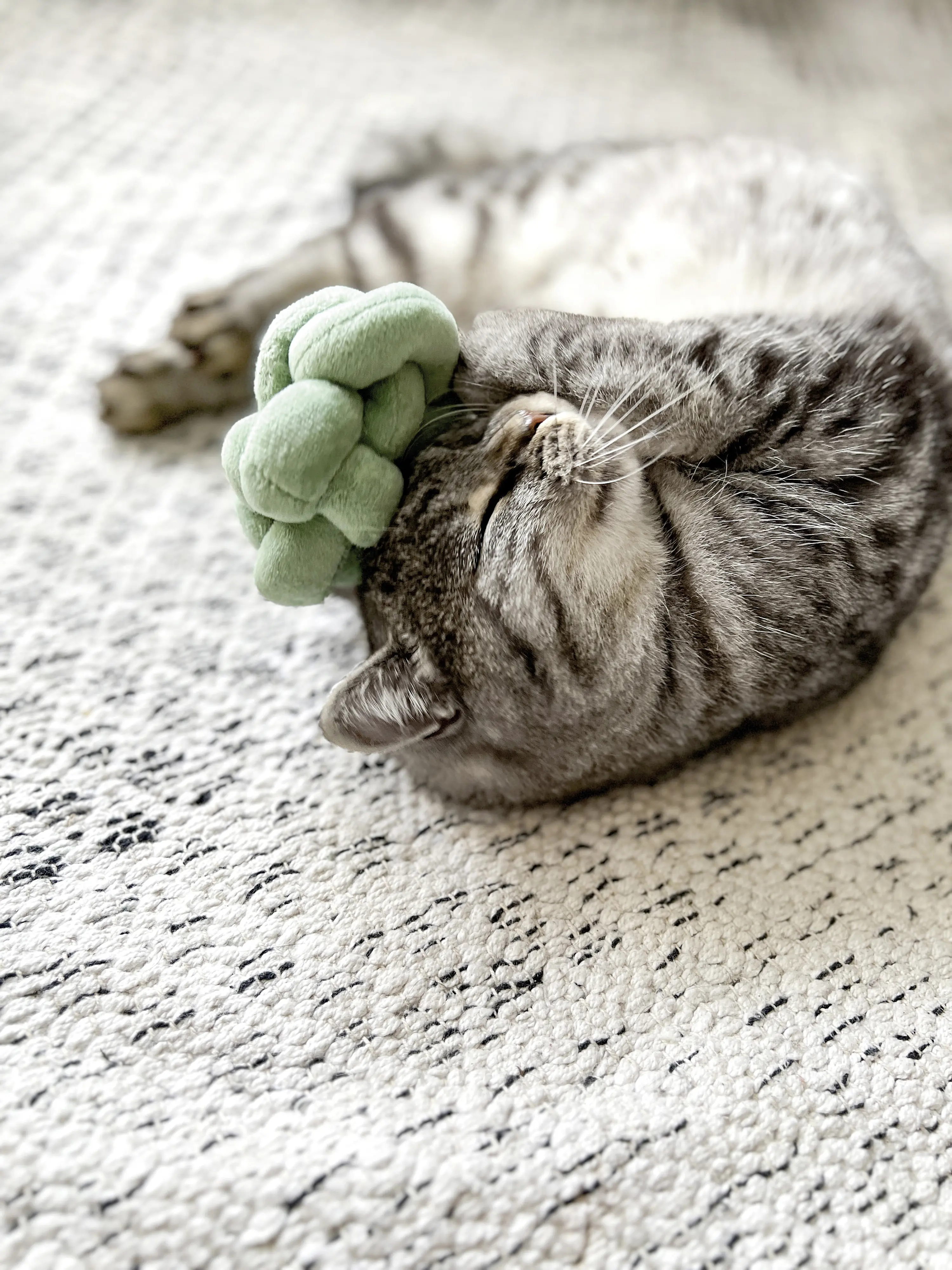 Aumüller Katzenspielzeug-Knotenkissen pastell mit Füllung 10 x 10 x 10 cm