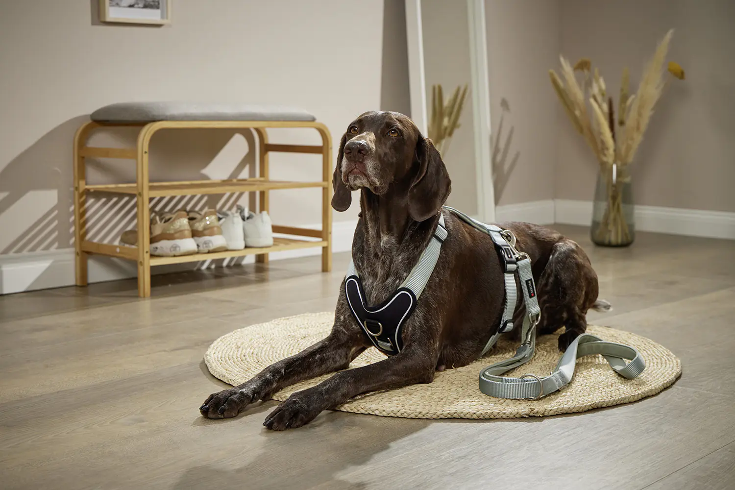 Wolters Hundeleine Professional Comfort salbei grün