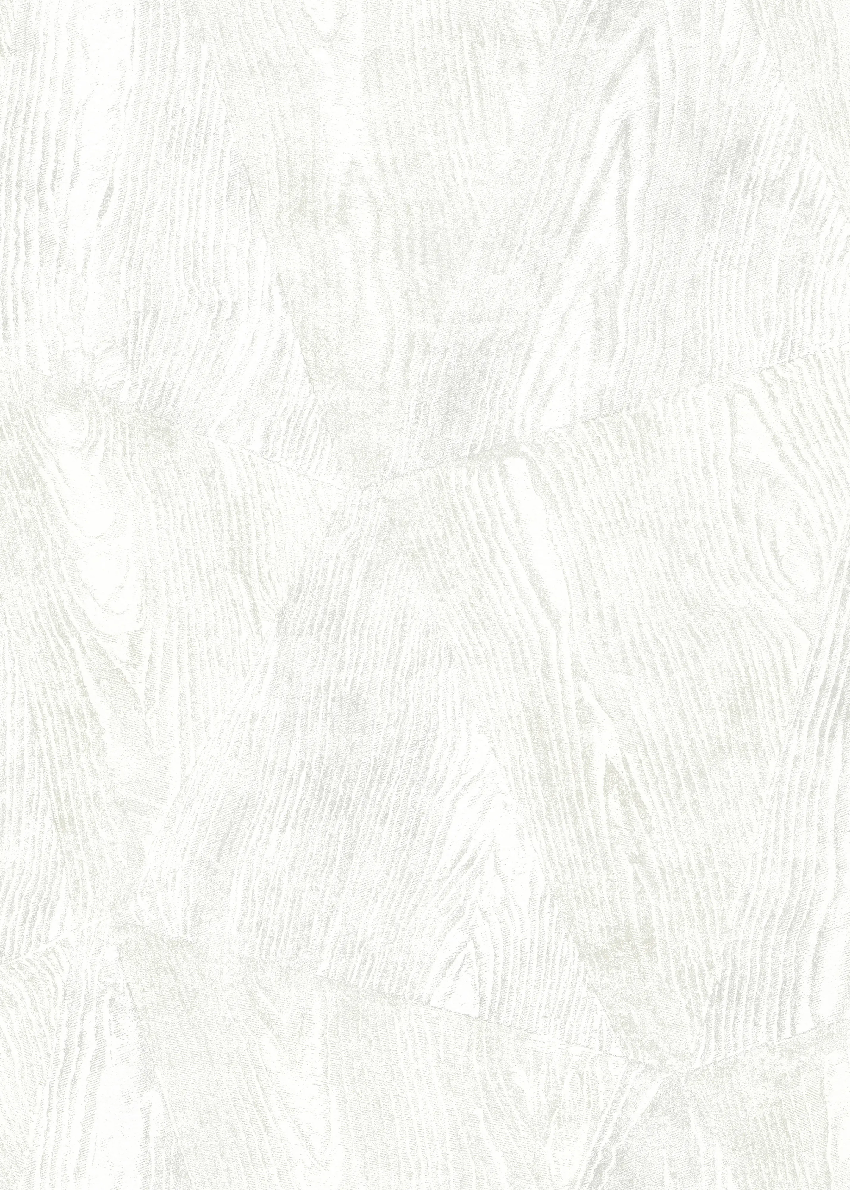Erismann Vliestapete Holz grau 10,05 x 0,53 m