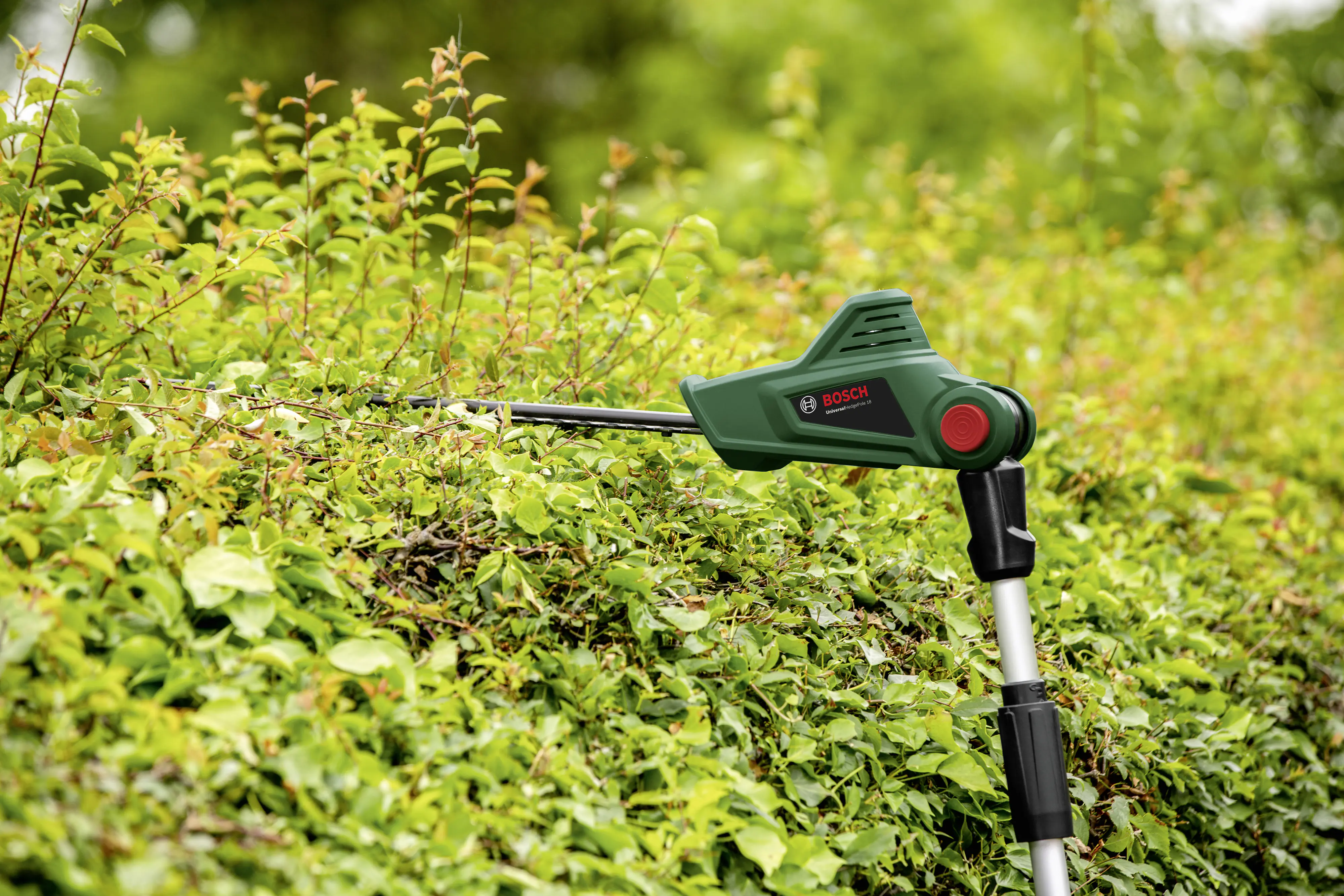 Bosch Akku-Heckenschere UniversalHedgePole 18 Solo