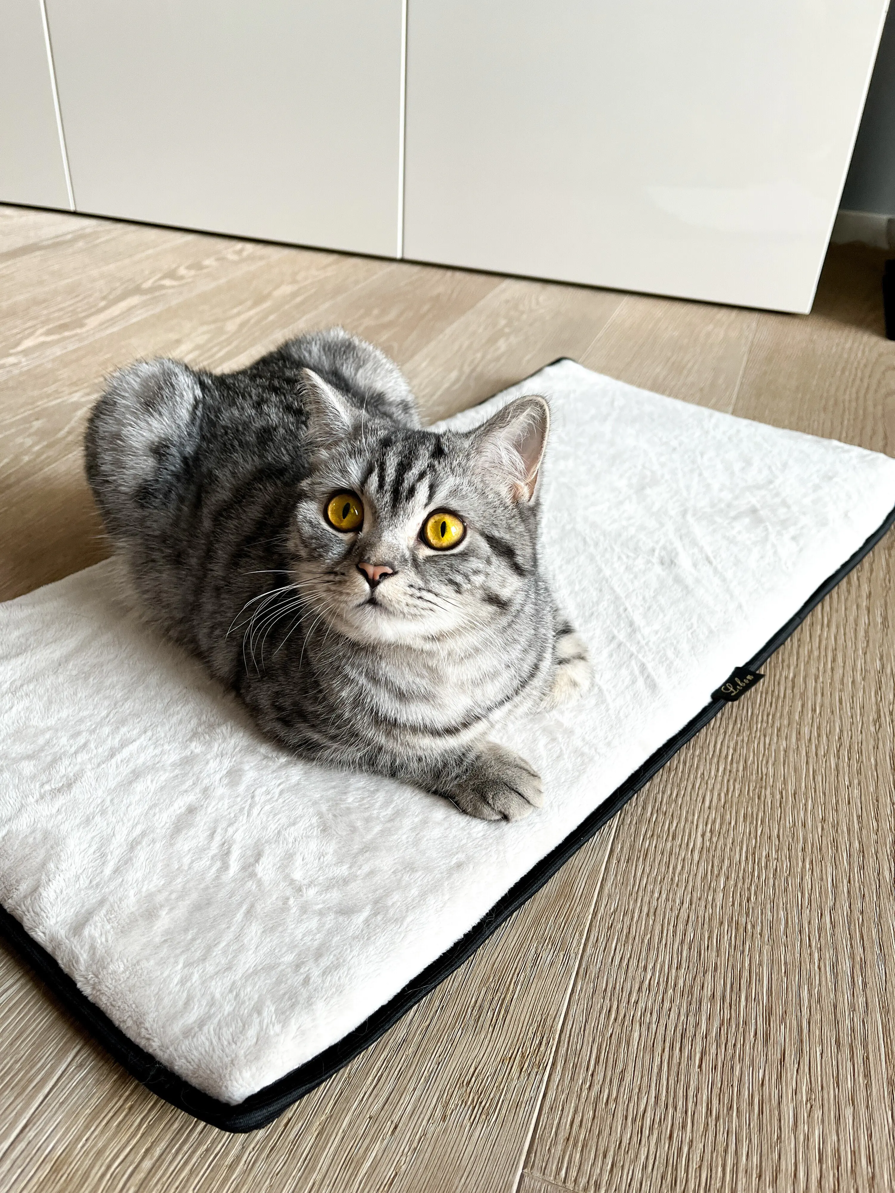 Lebon Fensterbankauflage für Katzen Banki 77 x 39 cm elfenbein 