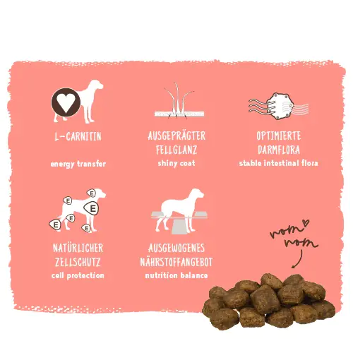 Bosch Active Trockenfutter für aktive Hunde Adult 3 kg mit Geflügel Bosch Active Trockenfutter für aktive Hunde Adult 3 kg mit Geflügel