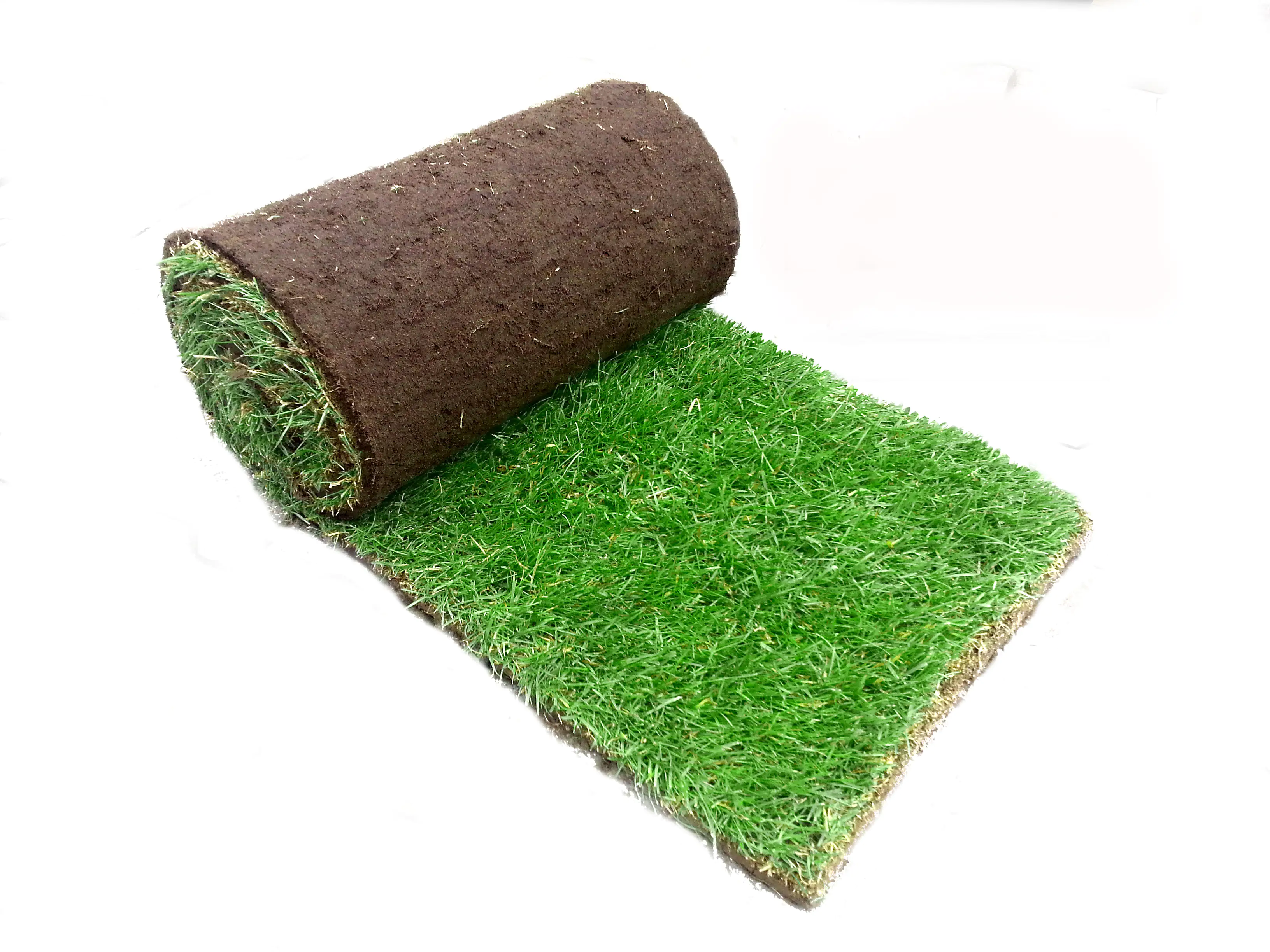 4260378381231_3 Premoplan Rollrasen Premium ab 30m²
