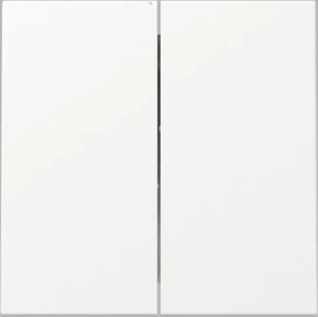 Gira Serienwippe 2fach Flächenschalter System 55 reinweiß matt 329527