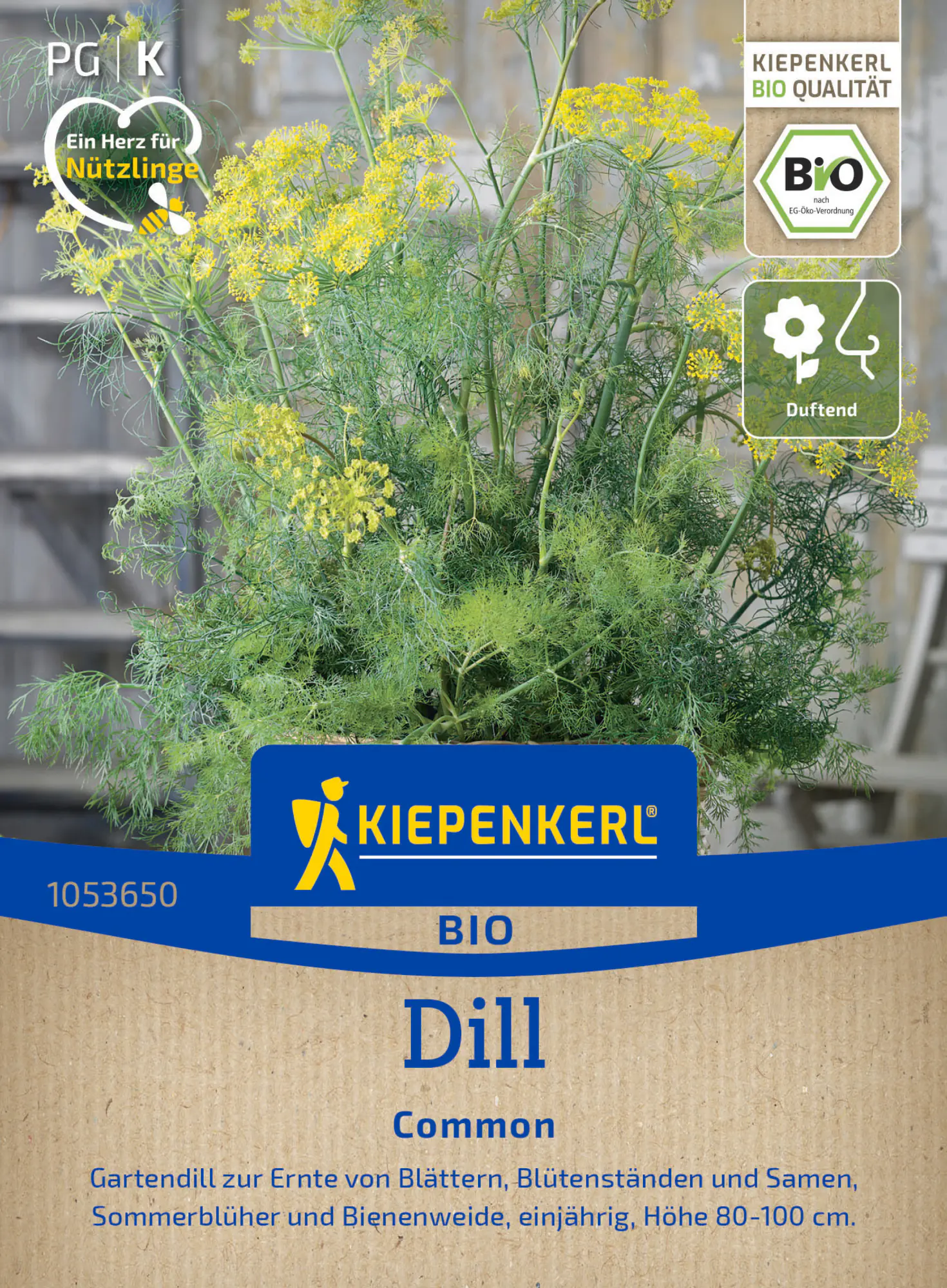 Kiepenkerl Saatgut BIO Dill für ca. 900 Pflanzen