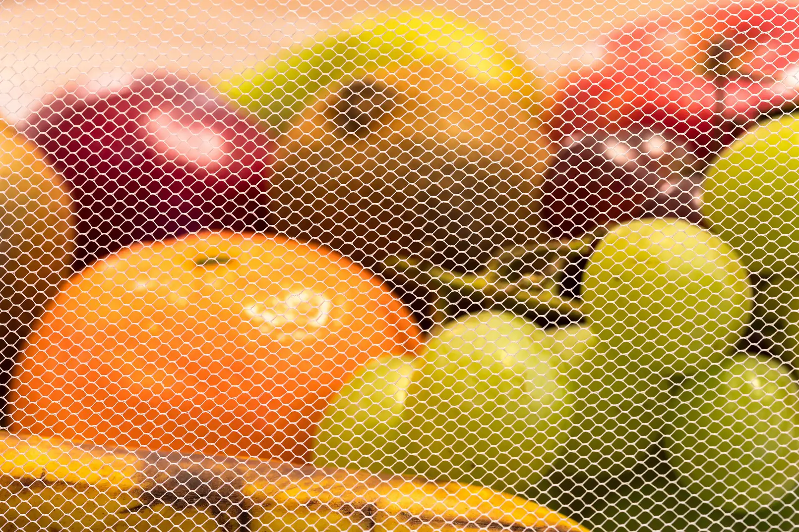 Schellenberg Abdeckhaube für Lebensmittel weiß