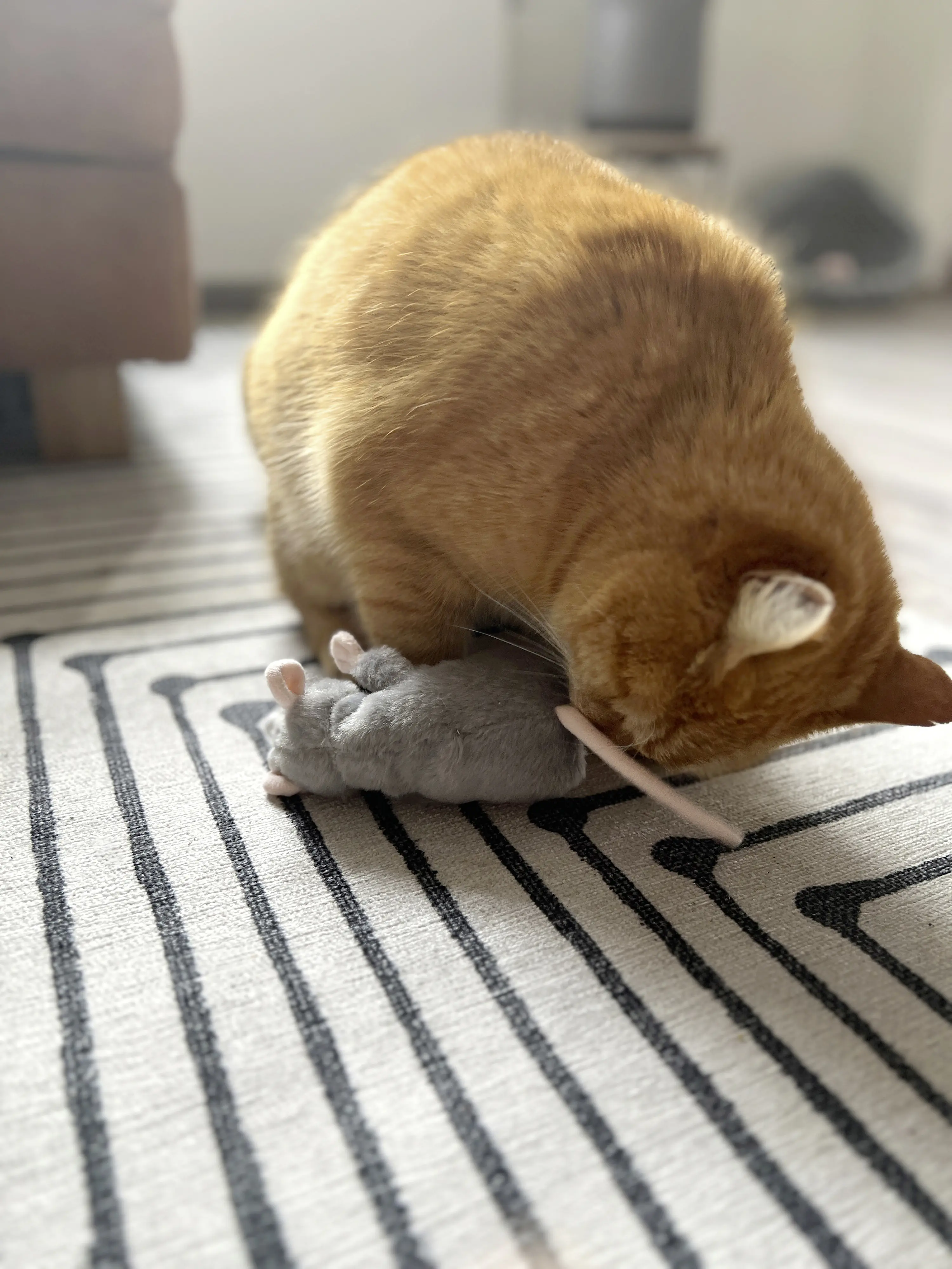 Aumüller Katzenkissen Ratte Cedric grau mit Füllung 13 x 6 x 5 cm