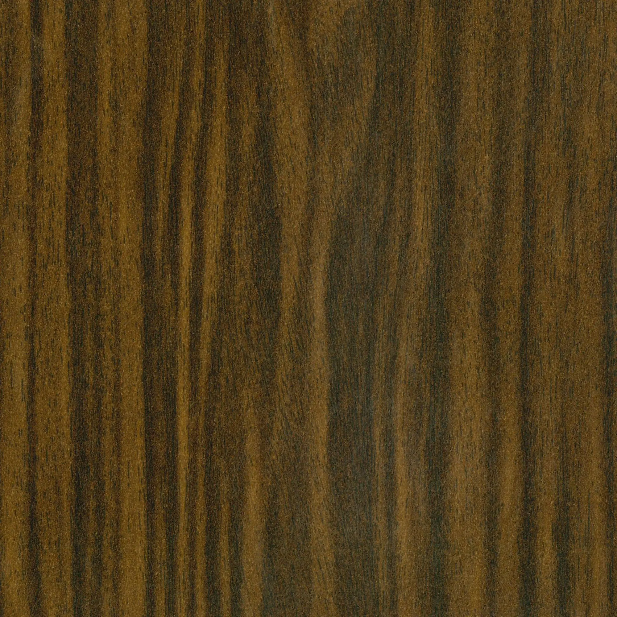 Neuhofer Fußleiste 240 cm x 58 x 19 mm dunkelbraun Neuhofer Fußleiste 240 cm x 58 x 19 mm dunkelbraun