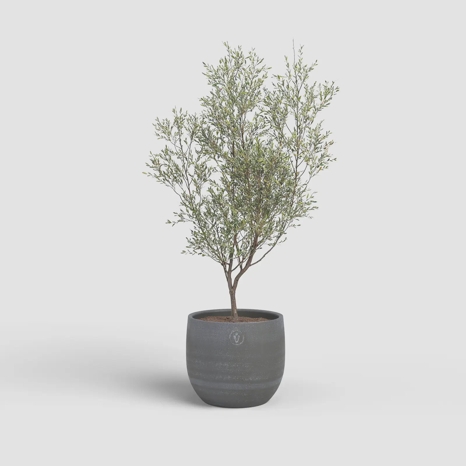 Artevasi Übertopf Selene Keramik Ø 31 x 31 cm anthrazit