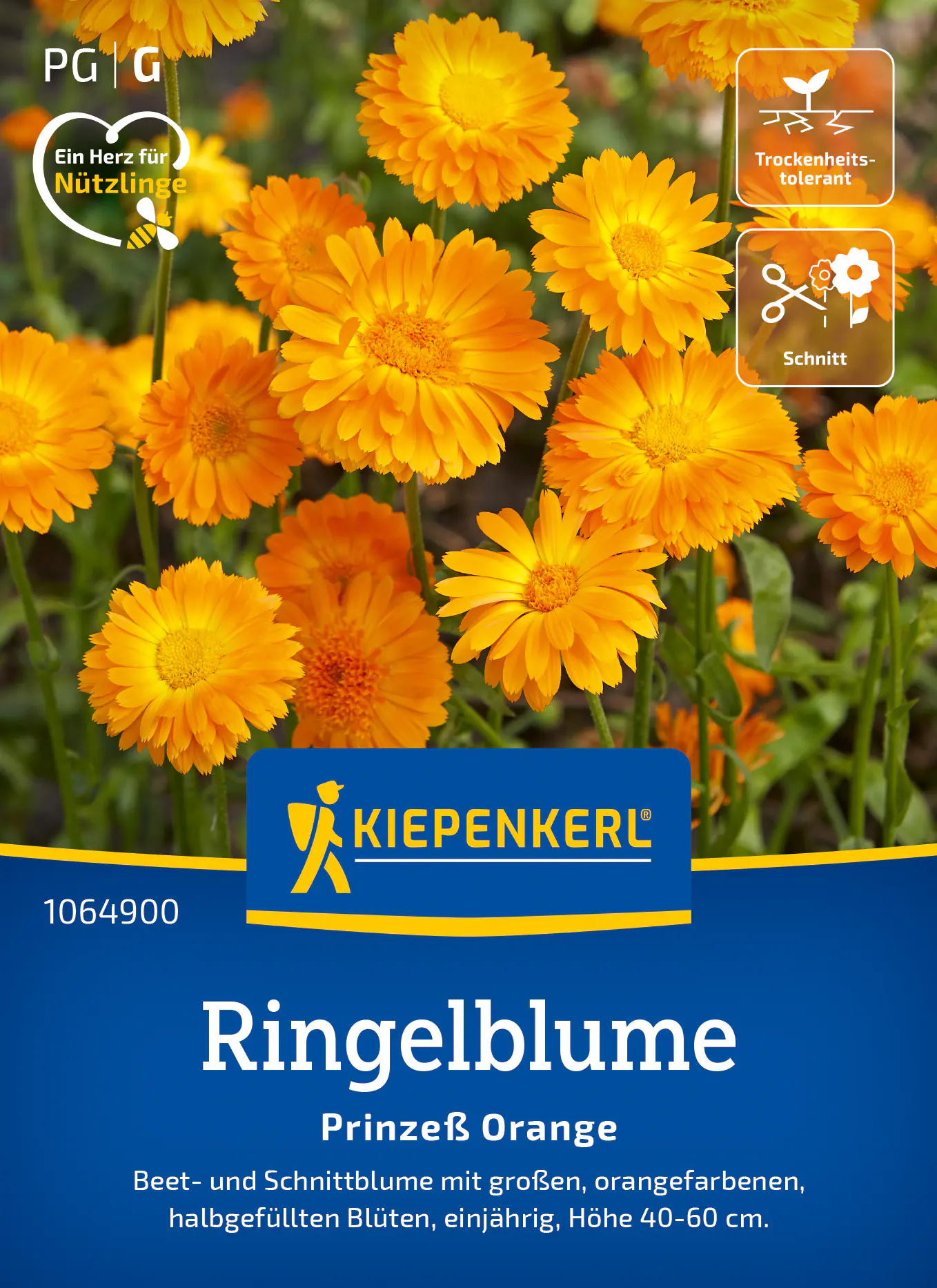 Kiepenkerl Saatgut Ringelblumen Prinzeß Orange für ca. 100 Pflanzen