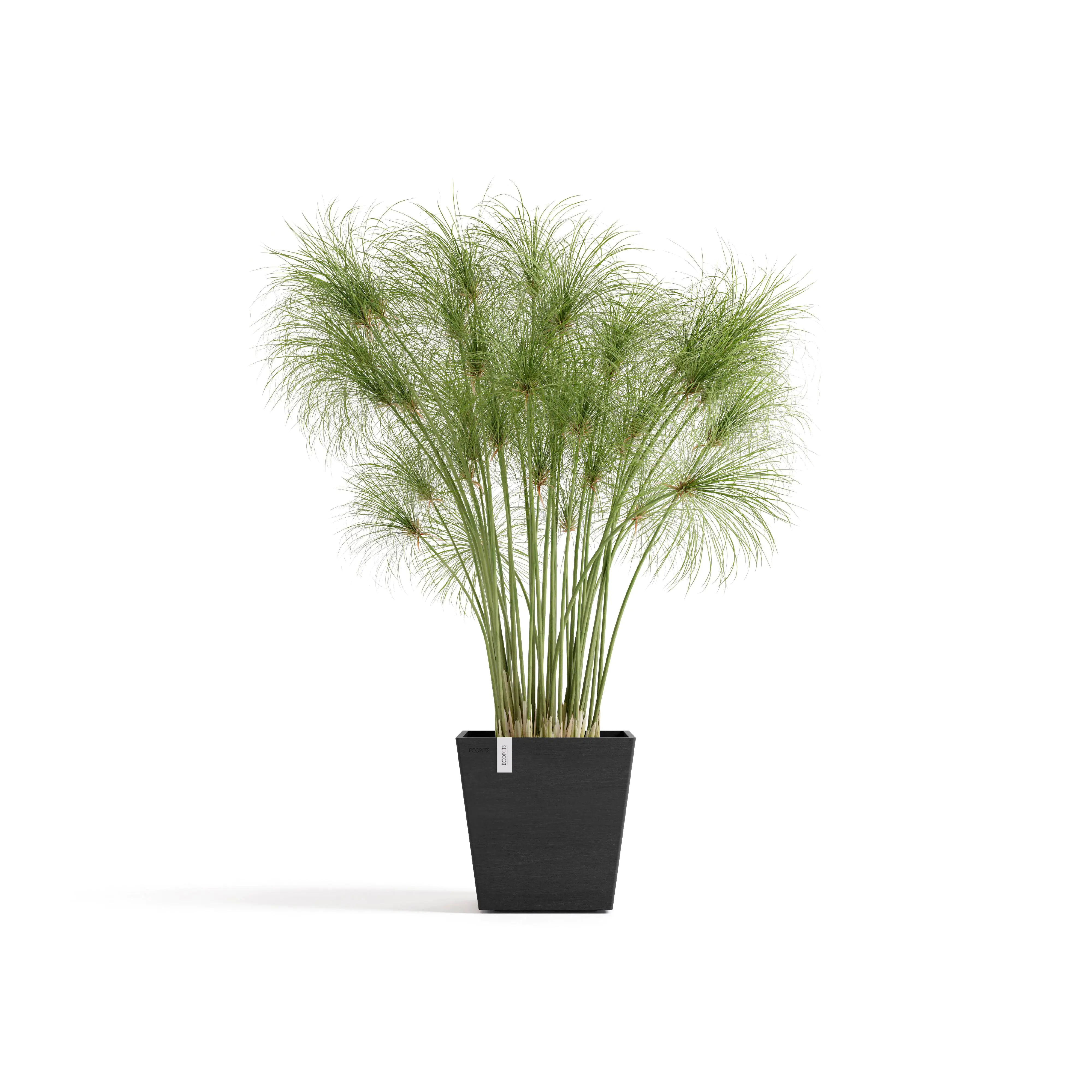 Ecopots Pflanztopf Rotterdam 25 x 25 x 24,5 cm dunkelgrau Ecopots Pflanztopf Rotterdam 25 x 25 x 24,5 cm dunkelgrau