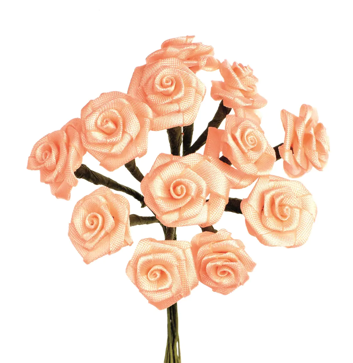 Diorröschen 12 Blüten coral