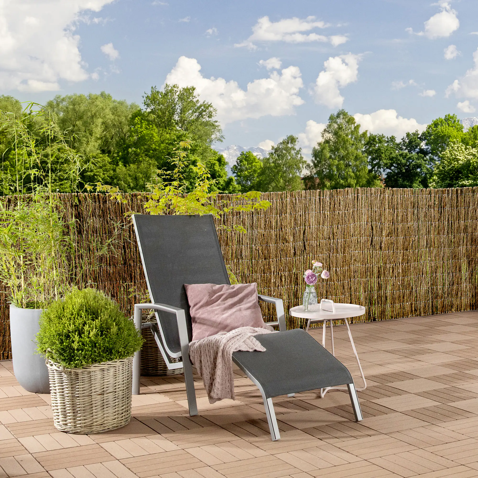 Windhager Sichtschutzmatte Weide 1,5 x 3 m