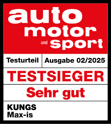 Kungs Max-is Schneebesen mit Eiskratzer