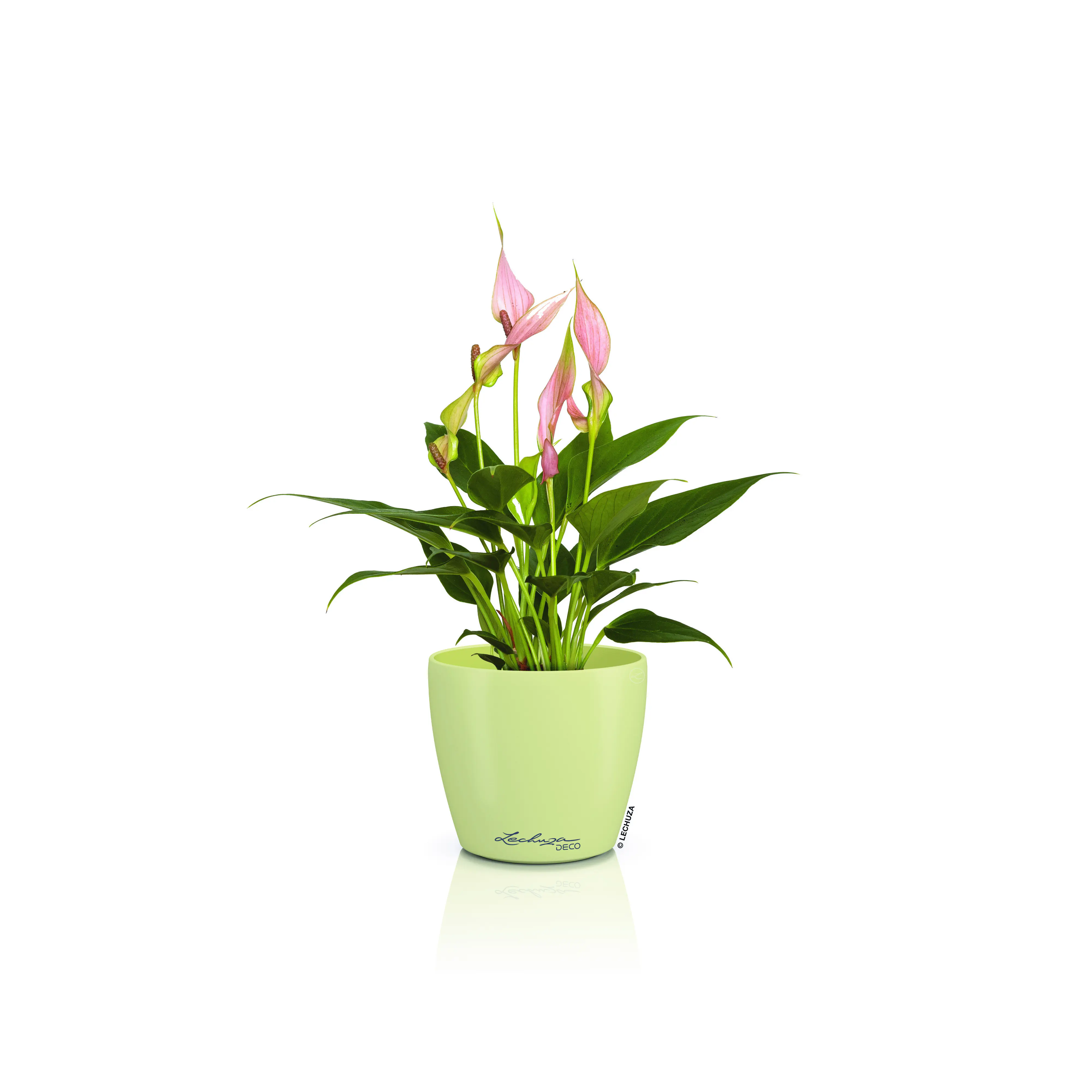 Lechuza Pflanztopf Deco 14 Ø 15,2 x 13,7 cm linde