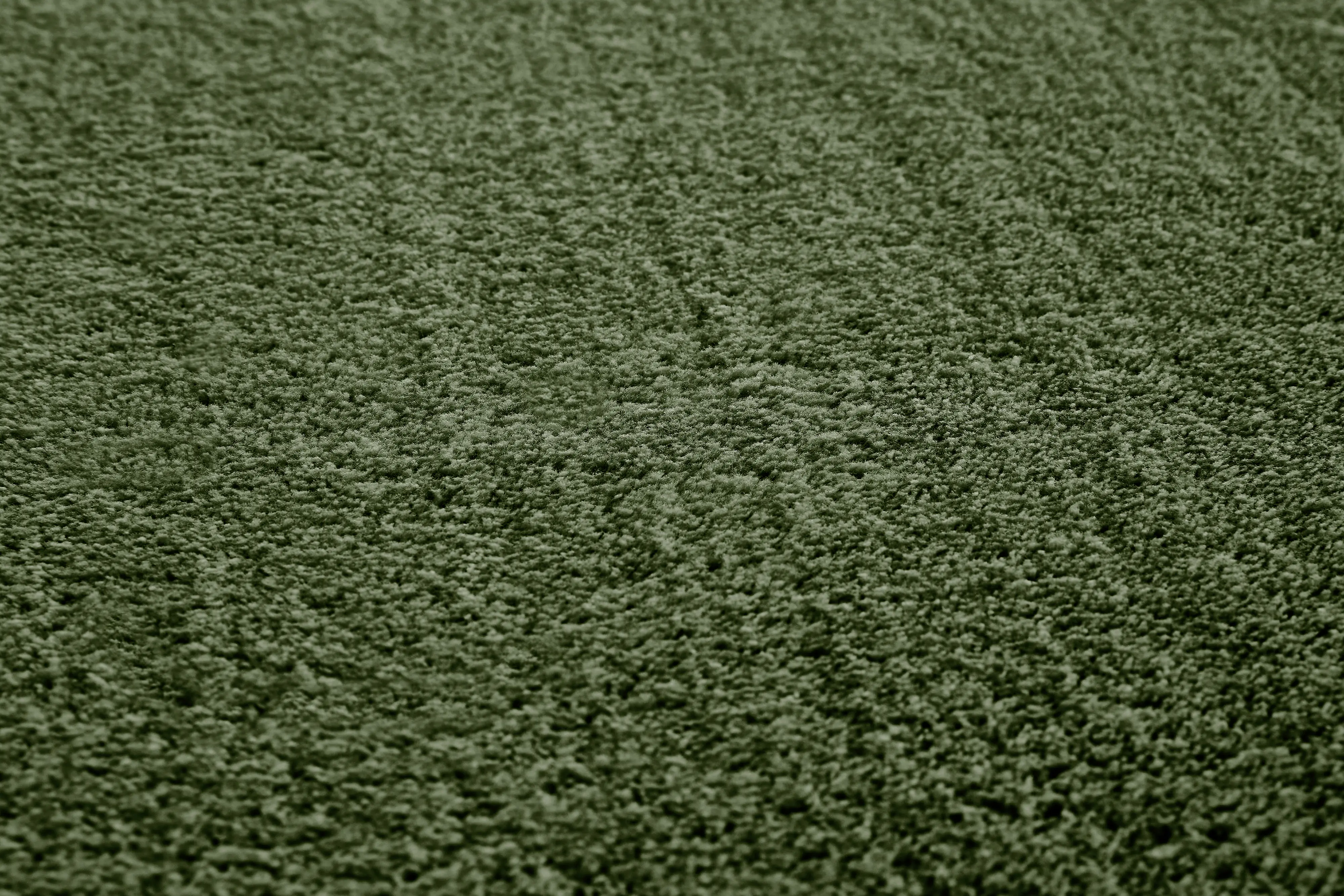Flachwebteppich Bartolo 120 x 170 cm waldgrün