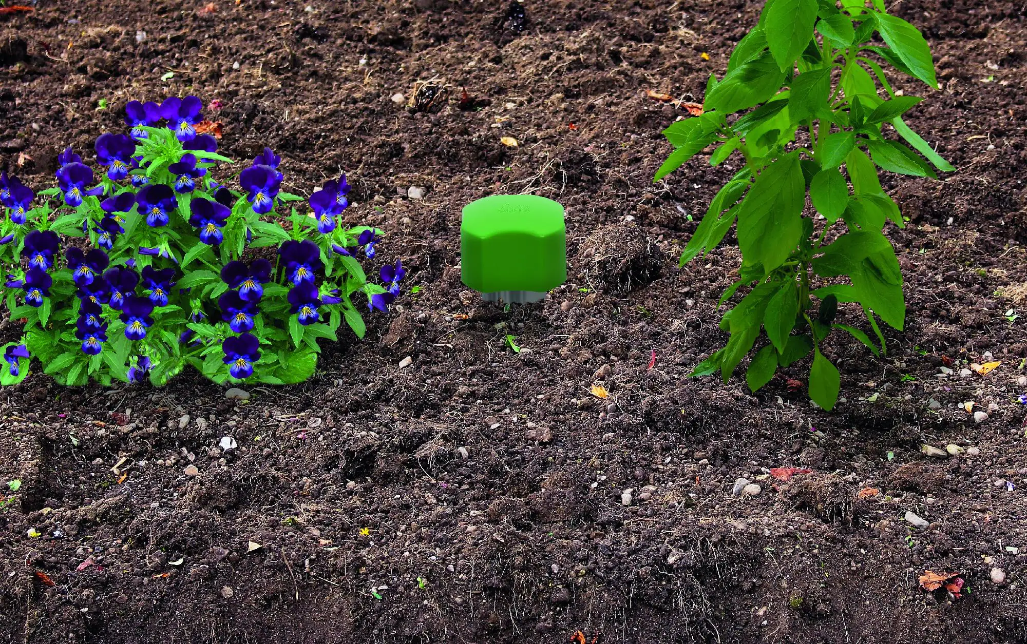 Gardigo Maulwurf-Vertreiber Mini Ganzjähriger Einsatz