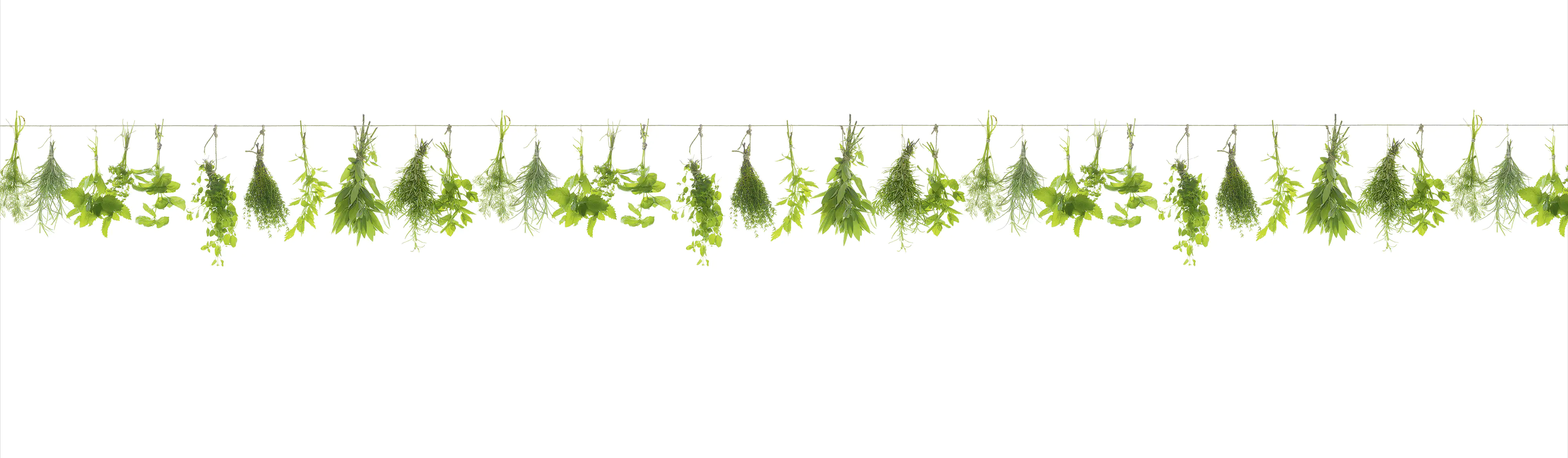 4057745201311_1833928 Küchenrückwand WandArt easy 200 x 58,5 cm, 3 mm, herbs line