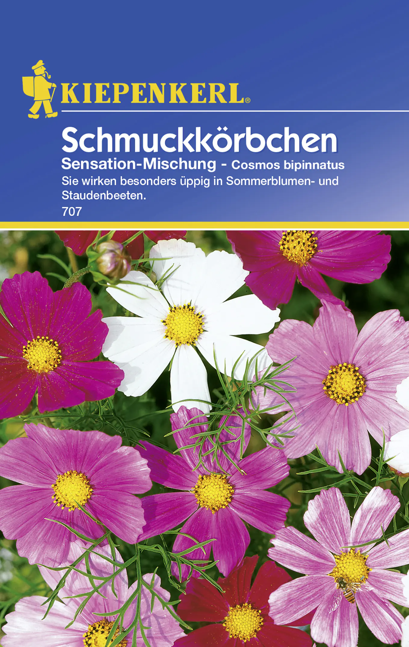 Kiepenkerl Schmuckkörbchen Sensation-Mischung Cosmos bipinnatus, Inhalt: ca. 40 Pflanzen