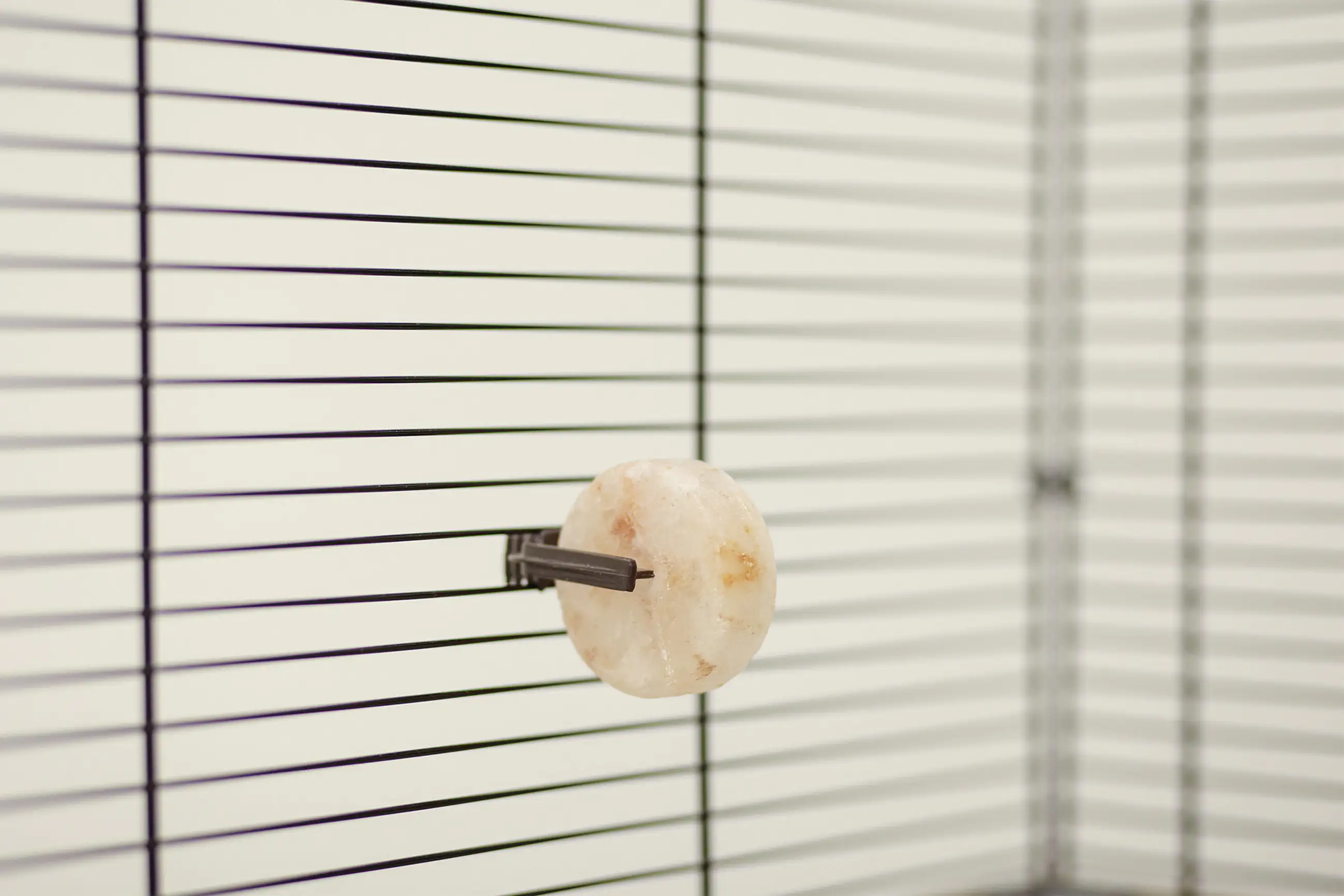 Kerbl Leckstein aus Bergkristallsalz 80 g  Ø 5 cm inklusive Halter