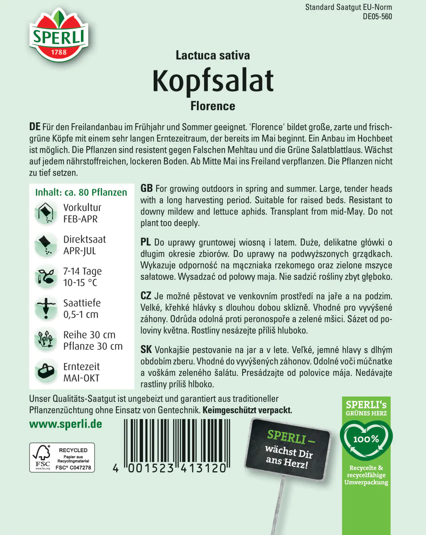 Sperli Kopfsalat Florence Sperli Kopfsalat Florence