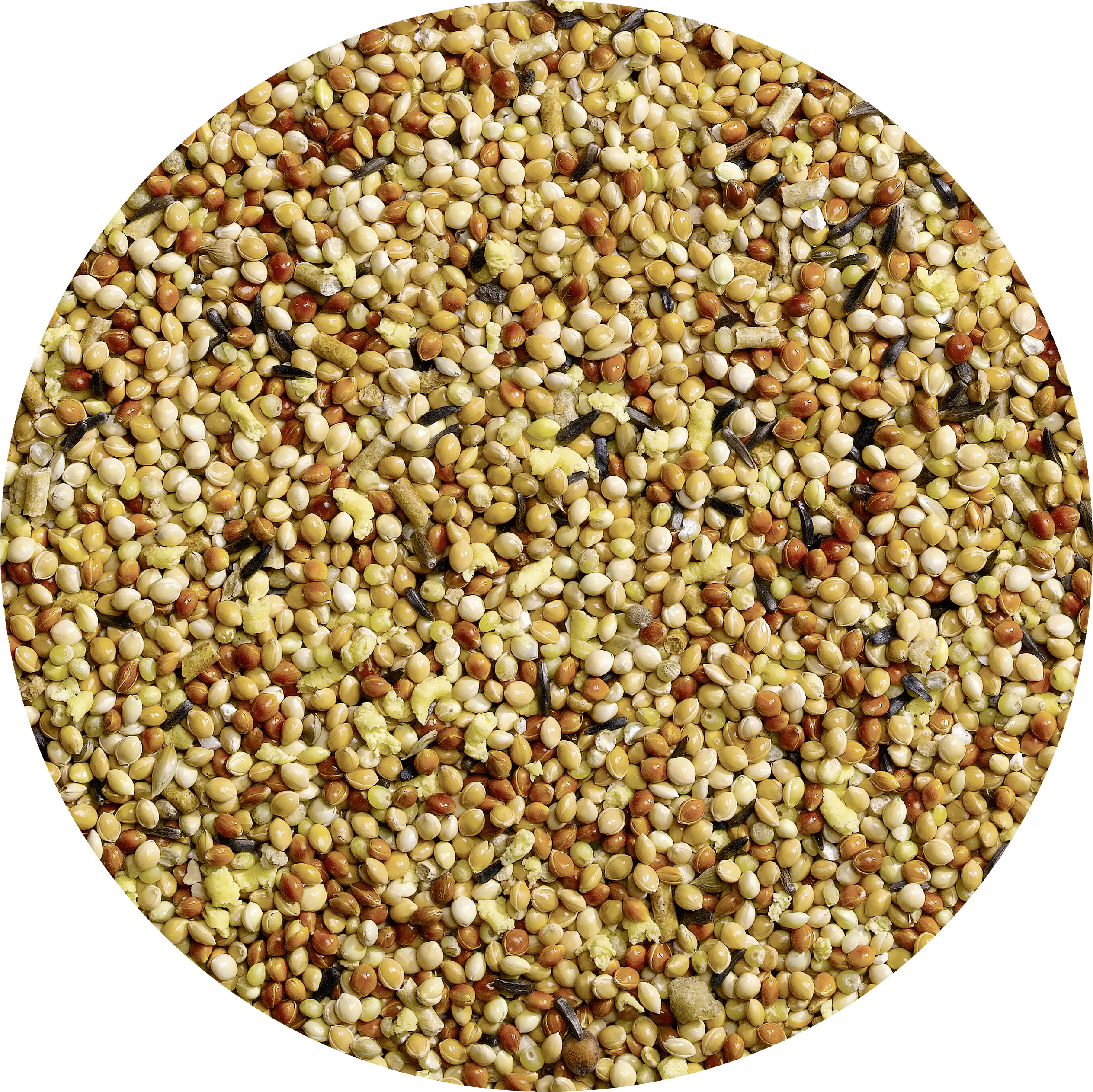 Vitakraft Sittich Stärkung 30 g Vitakraft Sittich Stärkung 30 g
