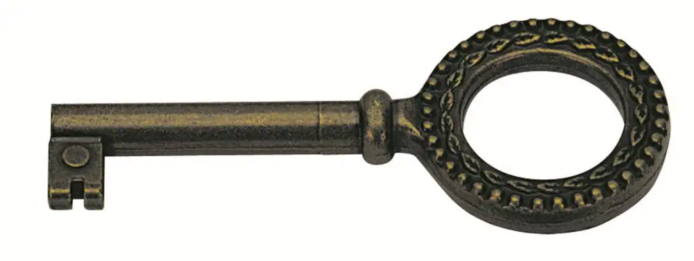 Hettich Buntbart-Schlüssel brüniert 75 x 4 mm Stahl, brüniert, 1 Stück