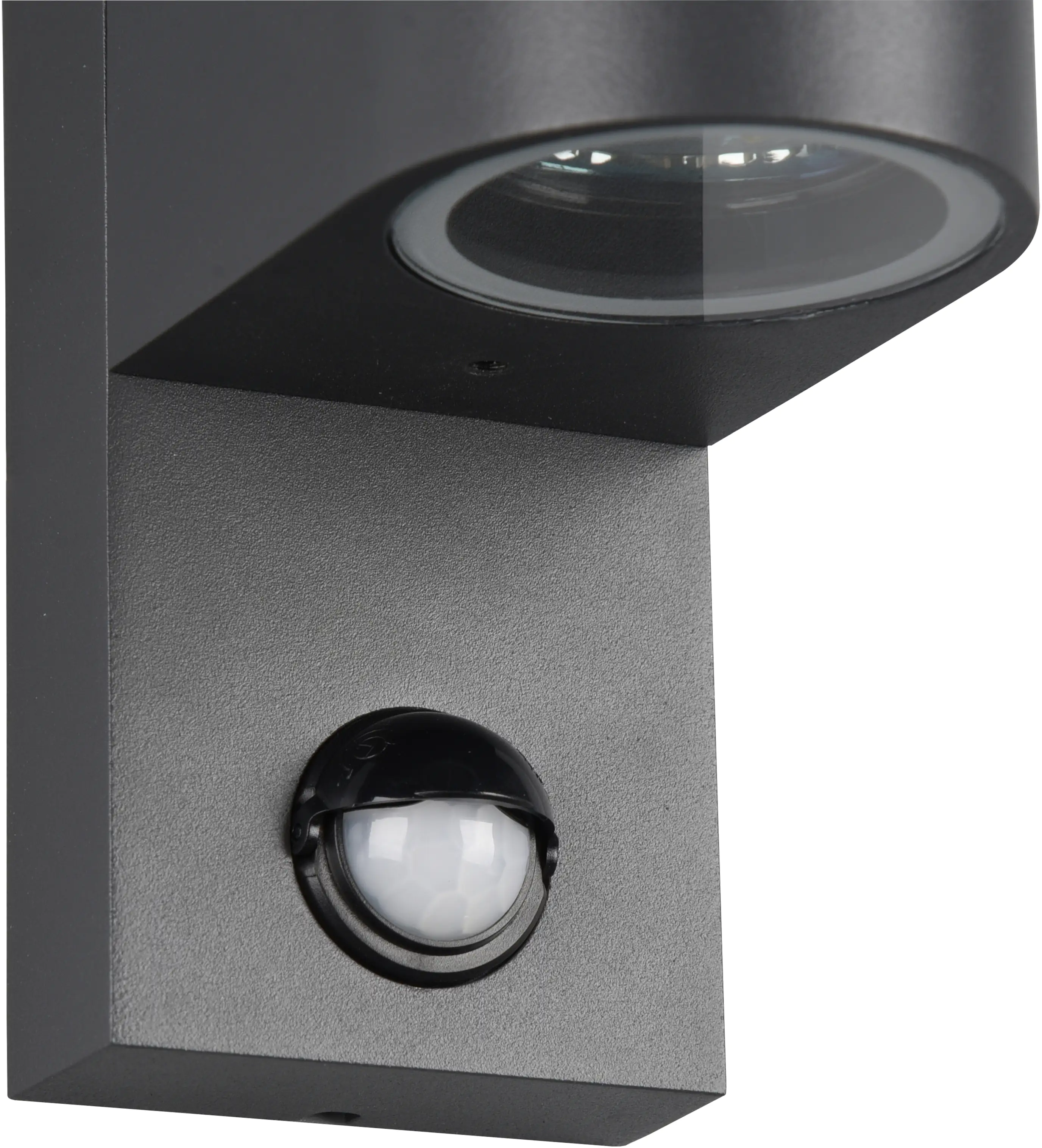 Trio Außen-Wandleuchte Roya anthrazit rund GU10 Up & Down mit Bewegungsmelder