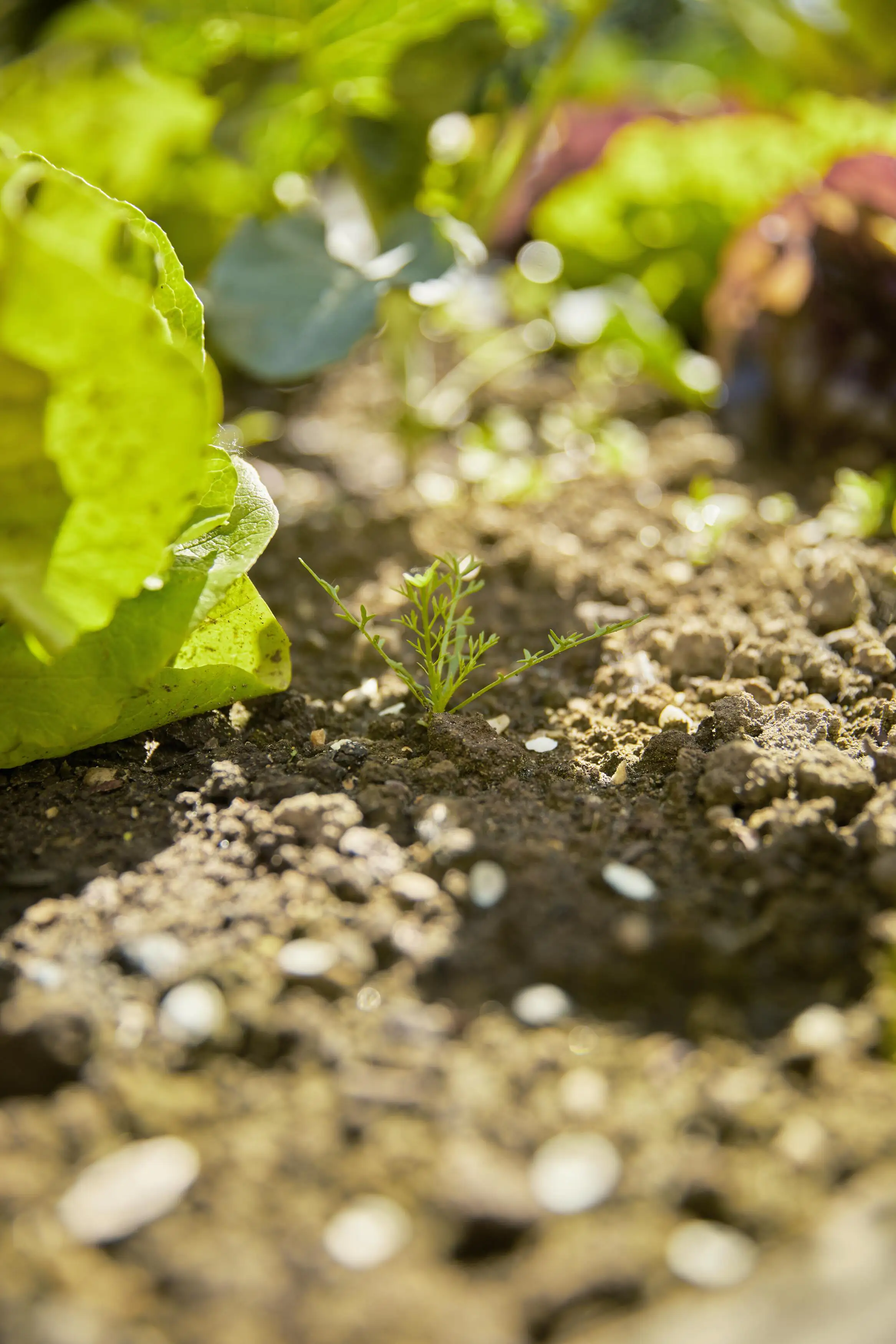 Gardena Grubber-Rechen combisystem