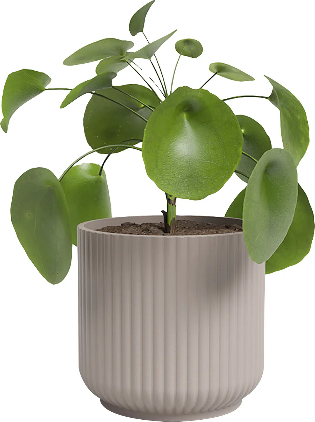 Artevasi Übertopf Luna Keramik hellrosa matt Ø 14 x 13 cm 