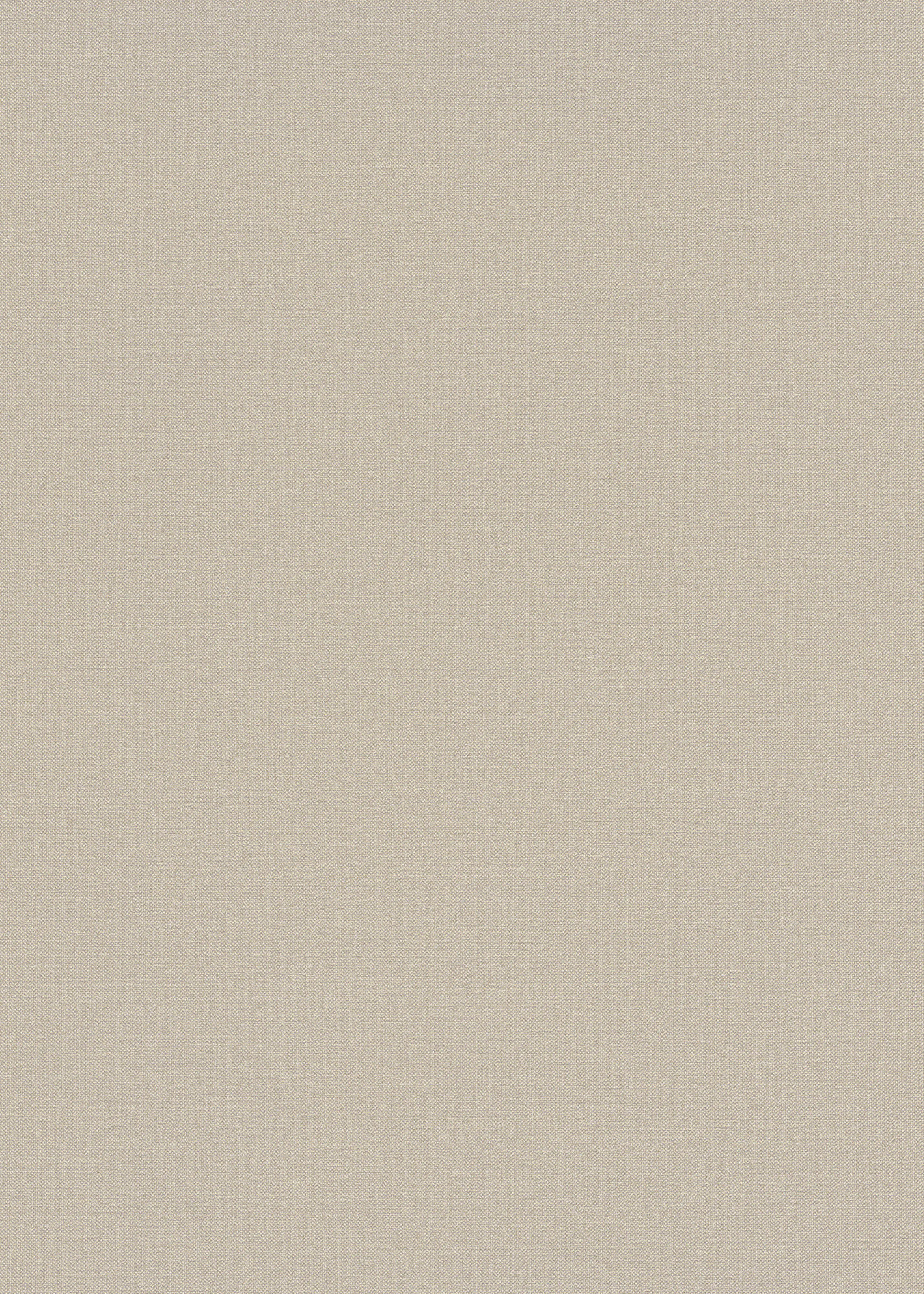 Erismann Vliestapete Uni beige 10,05 x 0,53 m