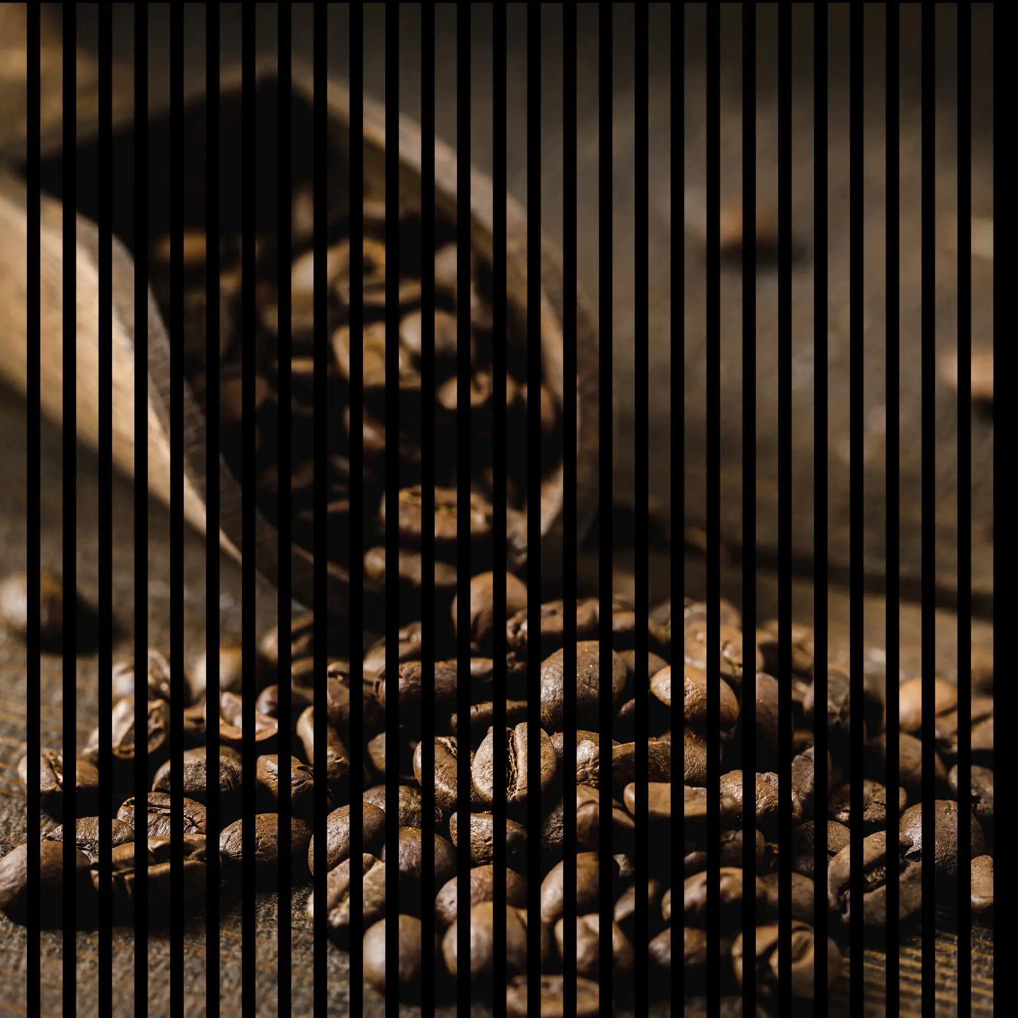 Neuhofer Akustikpaneele Kaffee 119,5 x 113,3 x 1,9 cm