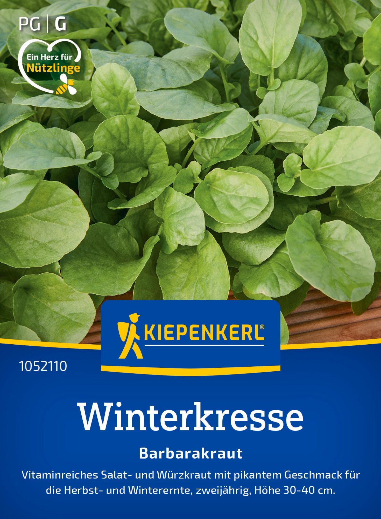 Kiepenkerl Saatgut Winterkresse Barbarakraut für ca. 500 Pflanzen