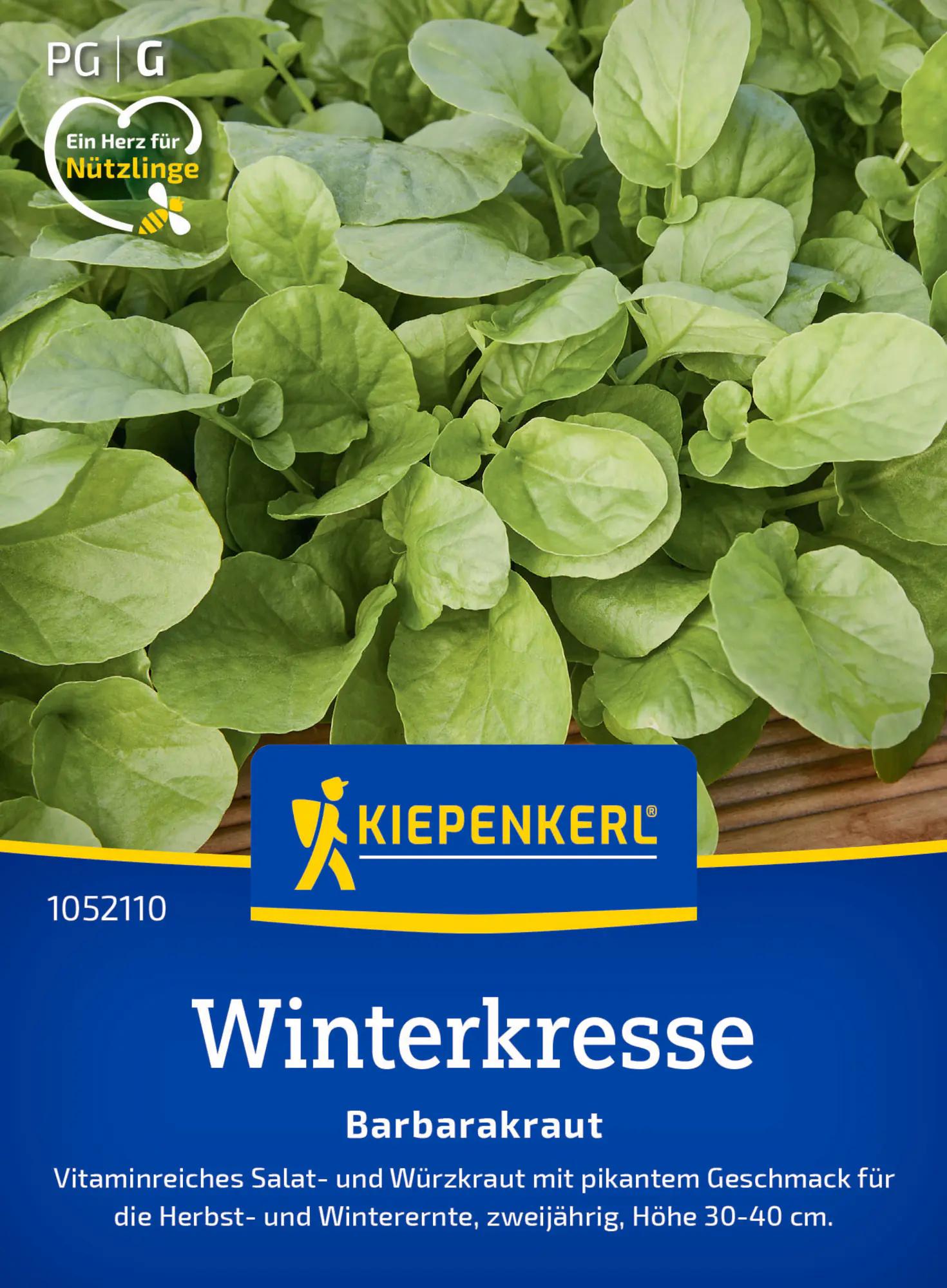 Kiepenkerl Saatgut Winterkresse Barbarakraut für ca. 500 Pflanzen
