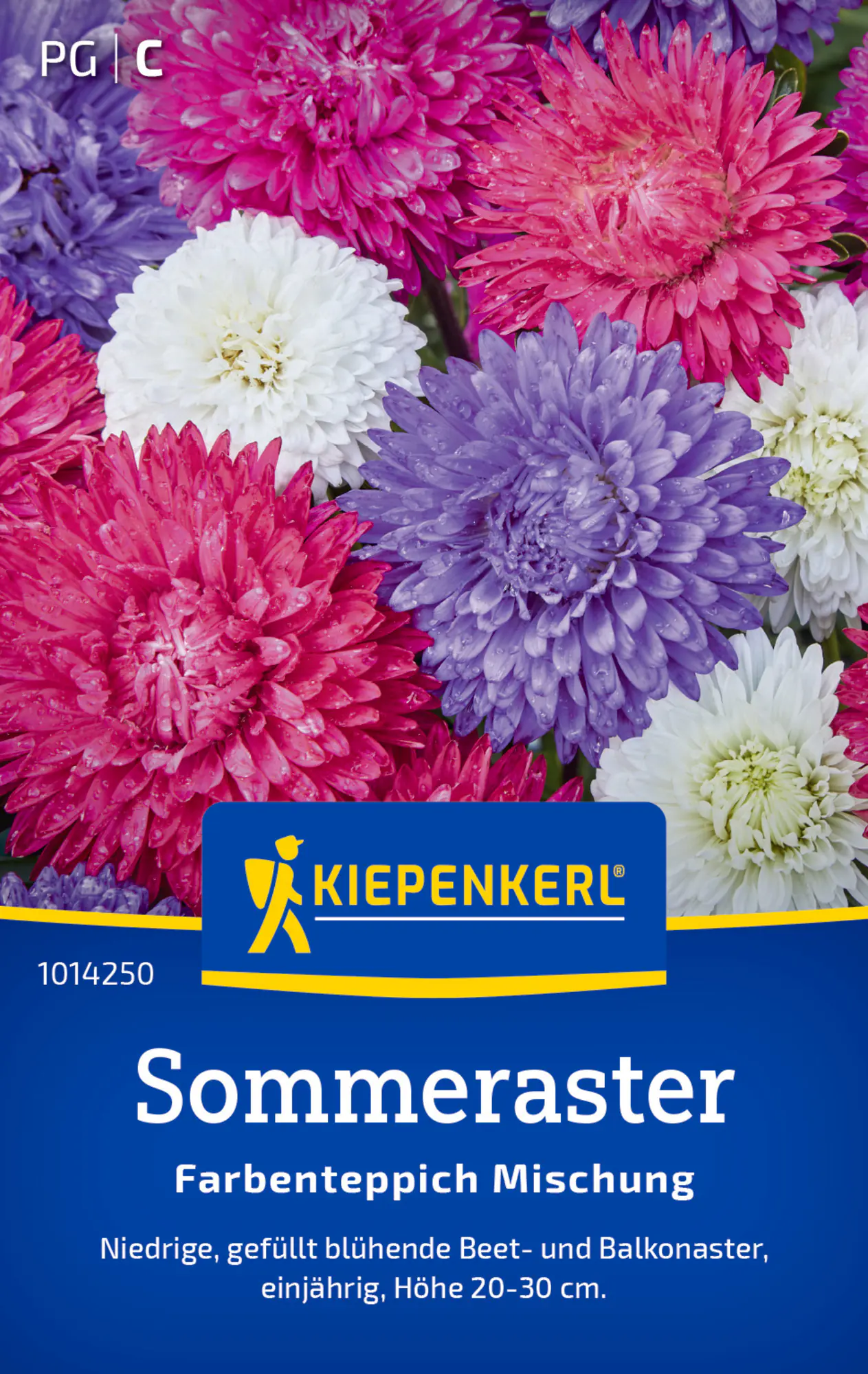 Kiepenkerl Blumensamen Sommeraster Farbenteppich Mischung für ca. 40 Pflanzen
