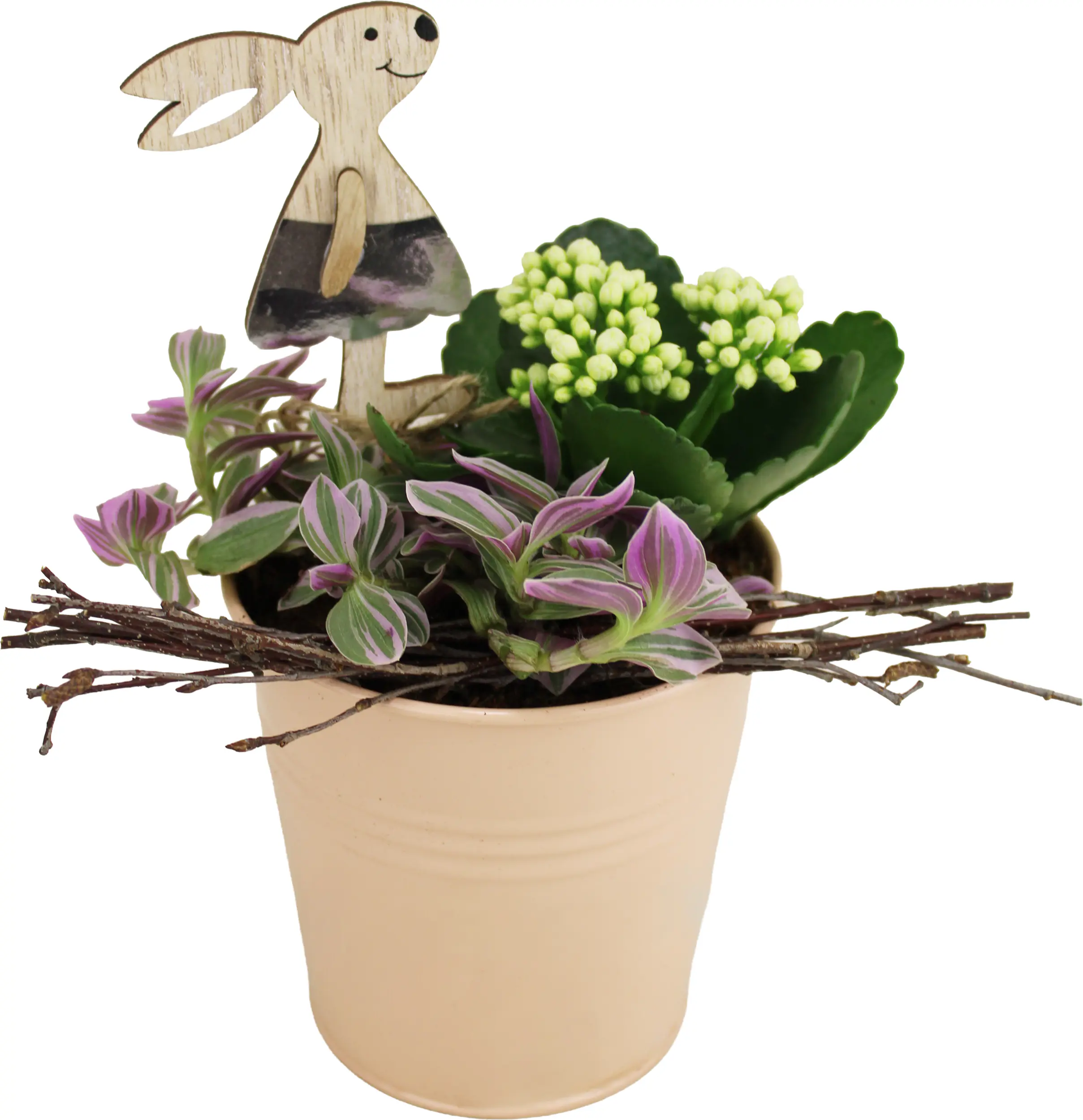 Osterarrangement Hasengarten Calandiva & Tradescantia im Zinktopf