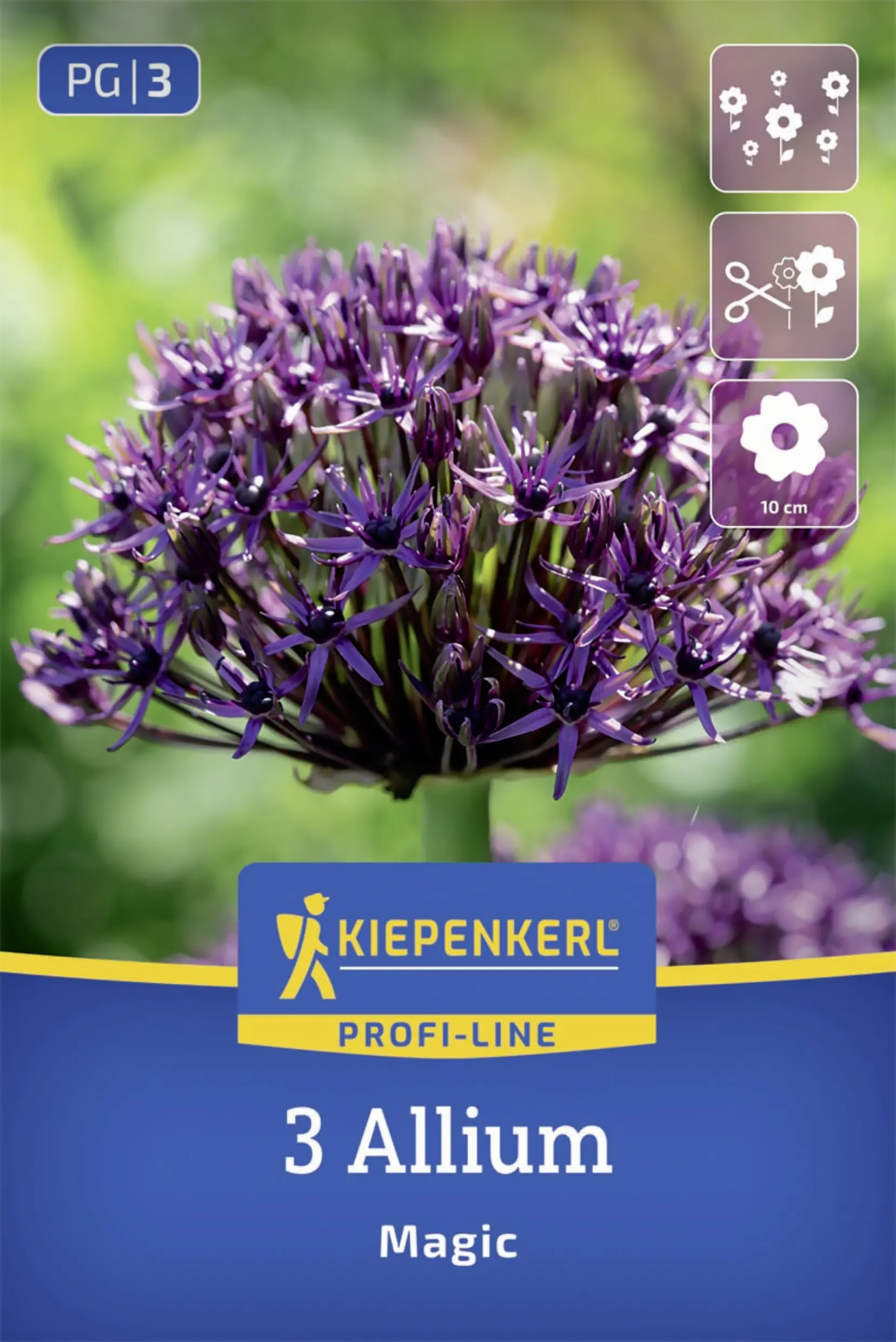 Kiepenkerl Profi-Line Zierlauch Magic rot 3 Stück