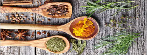 Deco-Glas Bild - Gewürze 80 x 30 cm