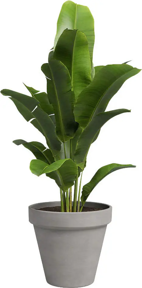 Artevasi Pflanztopf Amália Terrakotta grau Ø 21 x 19 cm