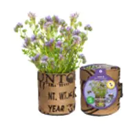 Baza Seeds Nützlingsblumen Ringelblume  Baza Seeds Nützlingsblumen Ringelblume