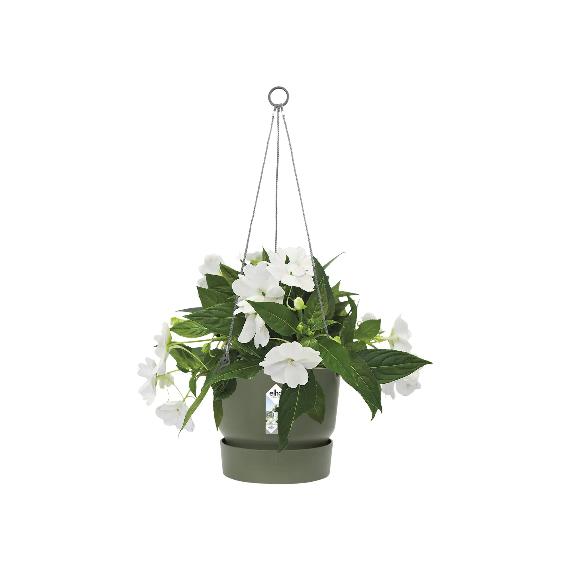 Elho Hängeampel Greenville laubgrün Ø 24 cm Elho Hängeampel Greenville laubgrün Ø 24 cm