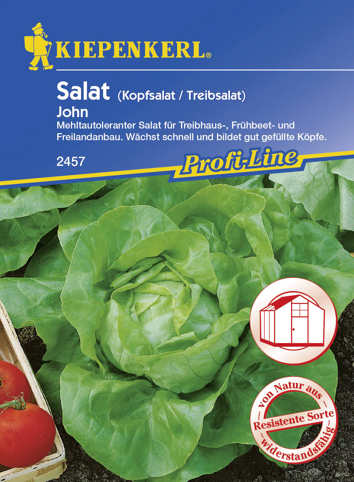 Kiepenkerl Kopfsalat John Lactuca sativa var. capitata, Inhalt: ca. 150 Pflanzen