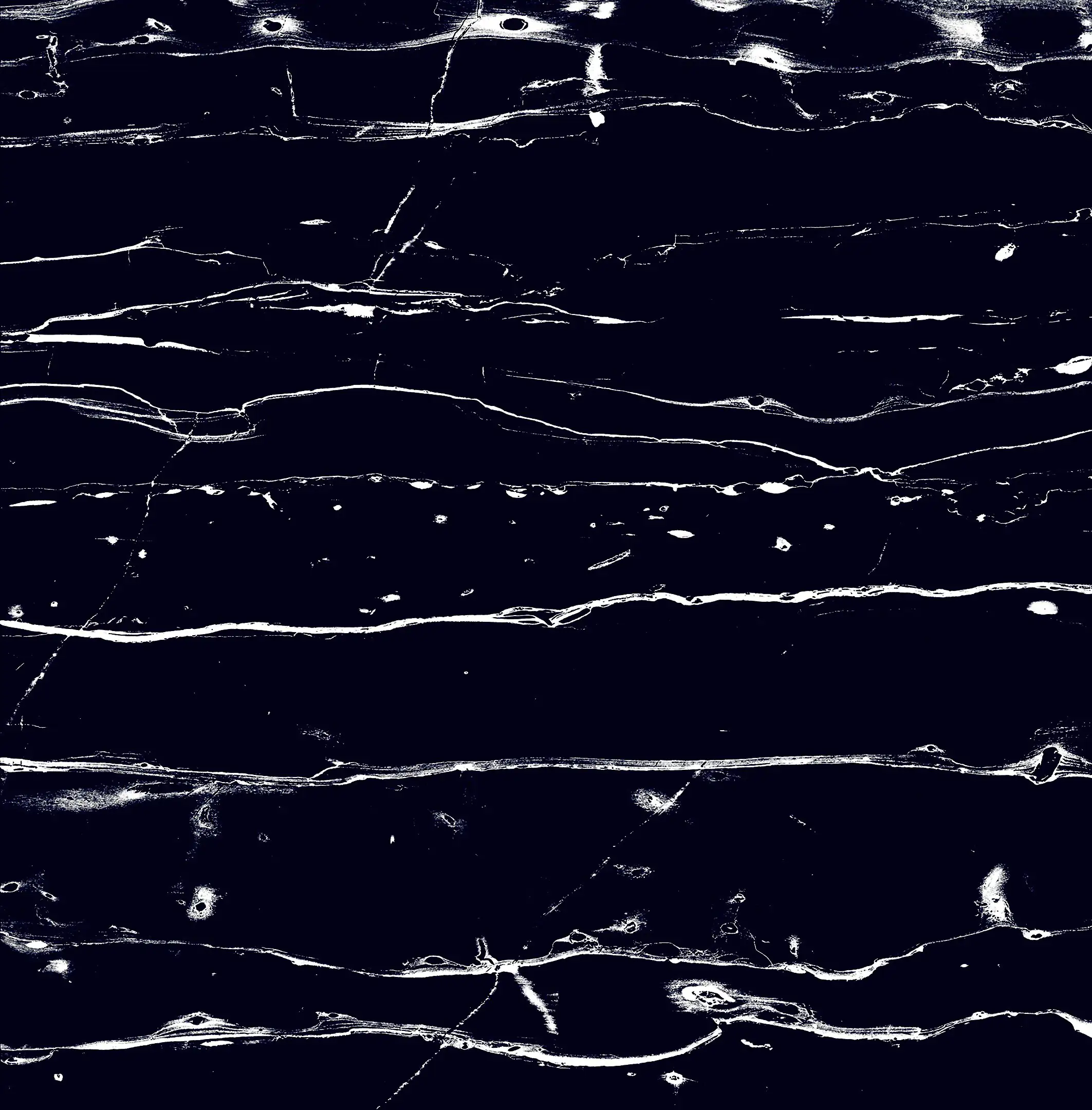 Bodenfliese Feinsteinzeug Prothro Black 60 x 60 cm schwarz Bodenfliese Feinsteinzeug Prothro Black 60 x 60 cm schwarz