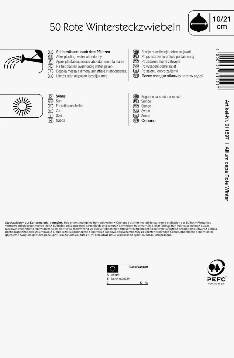 Kiepenkerl Wintersteckzwiebel Rote Winter 50 Pflanzen