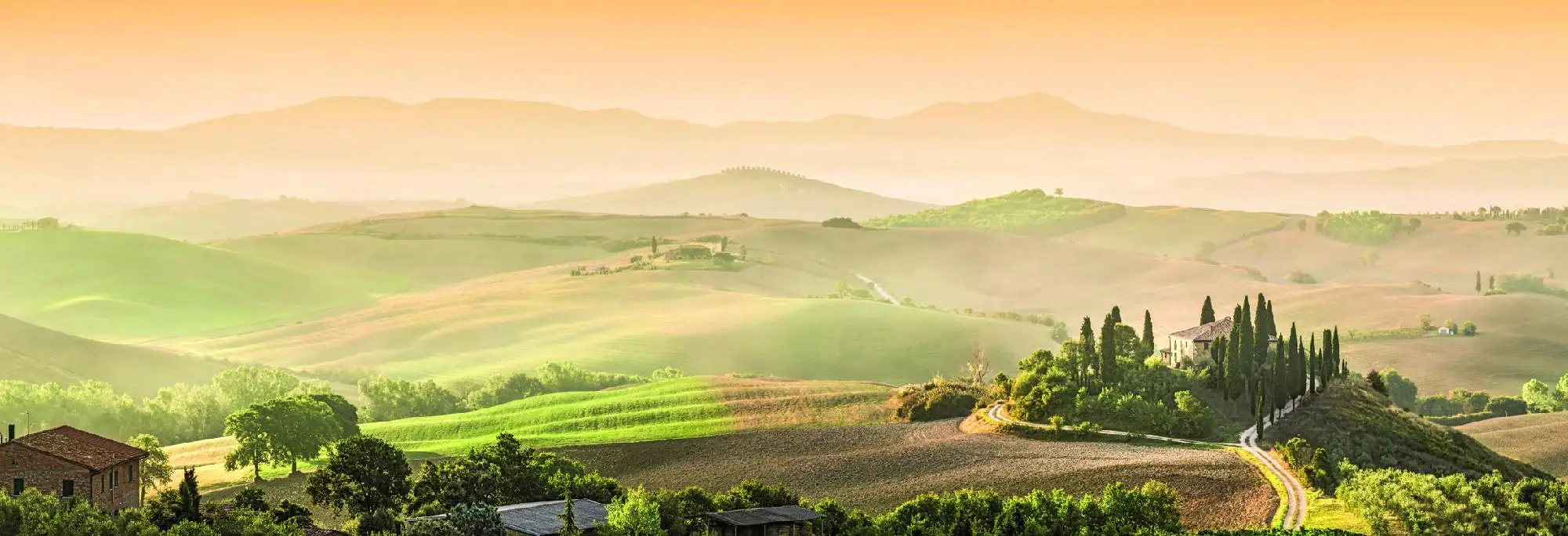 Deco-Panel Bild - Bolgheri 155 x 53 cm