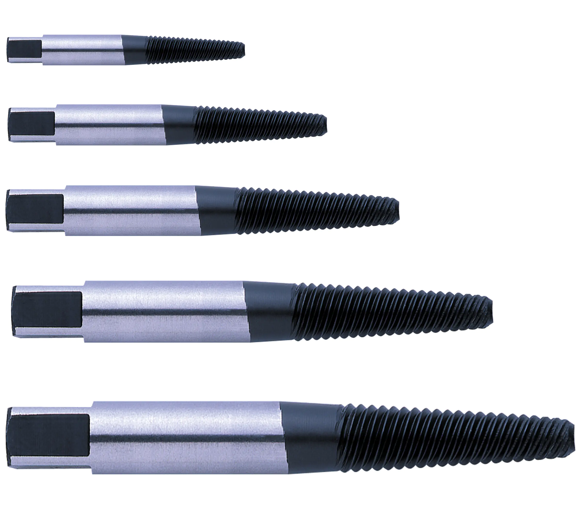 Exact Schraubenausdreher Set