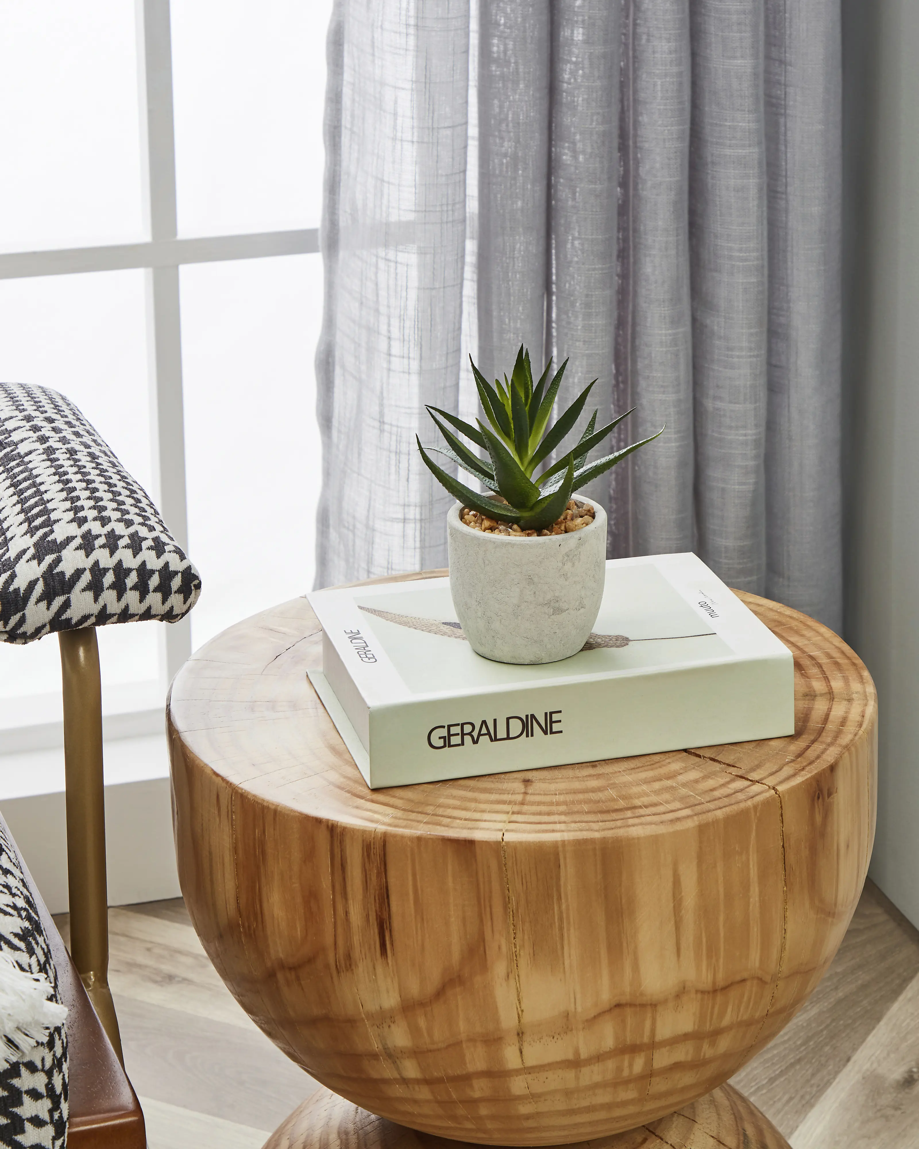 Eglo Kunstpflanze Sukkulente Chitose im Topf grün 15 x 10 cm