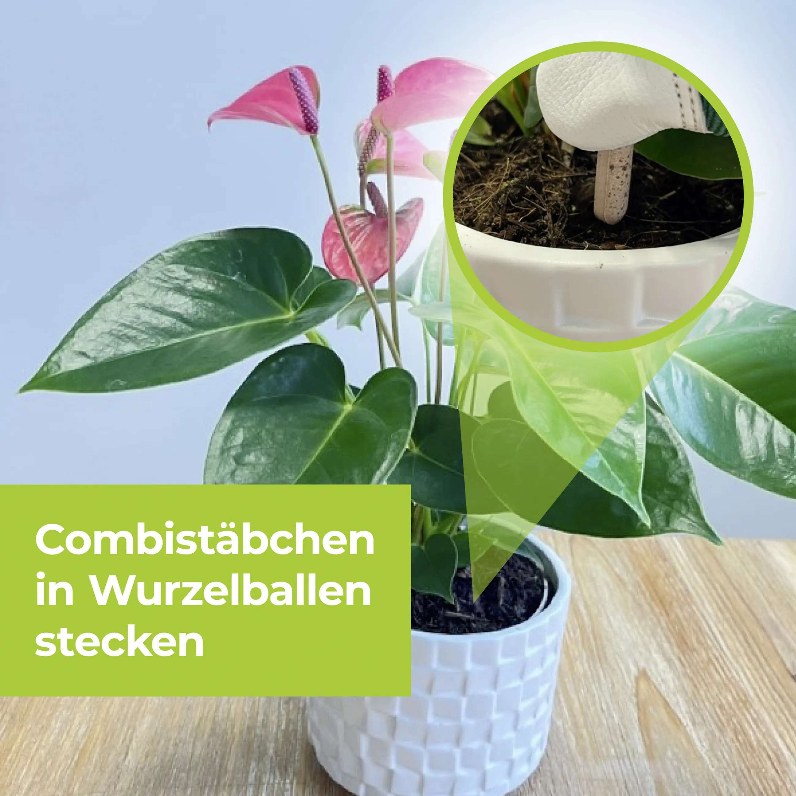 Protect Garden Lizetan Plus Combistäbchen 20 Stück