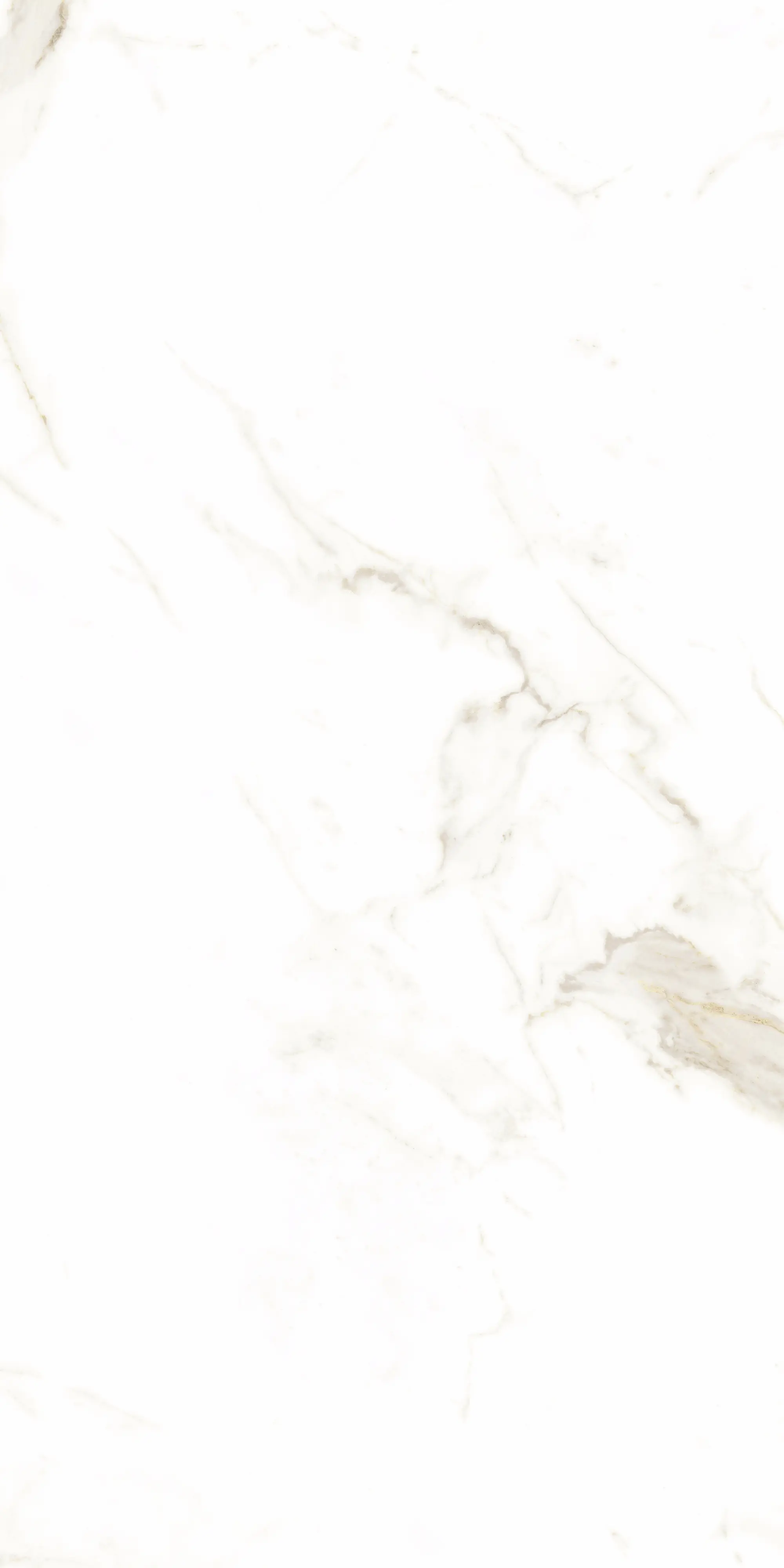 Bodenfliese Feinsteinzeug Alcora 60 x 120 cm weiß/gold